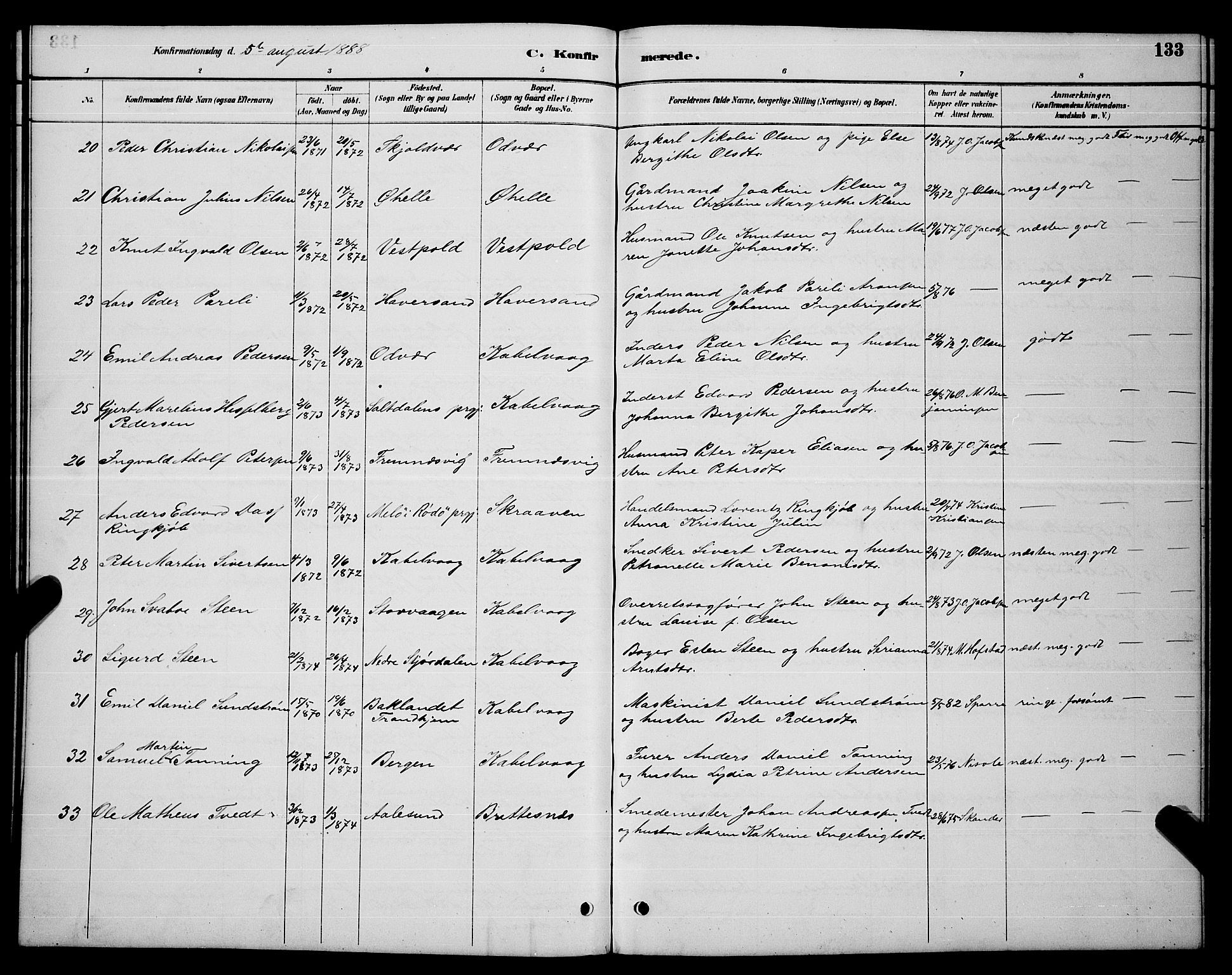 Ministerialprotokoller, klokkerbøker og fødselsregistre - Nordland, AV/SAT-A-1459/874/L1076: Parish register (copy) no. 874C05, 1884-1890, p. 133