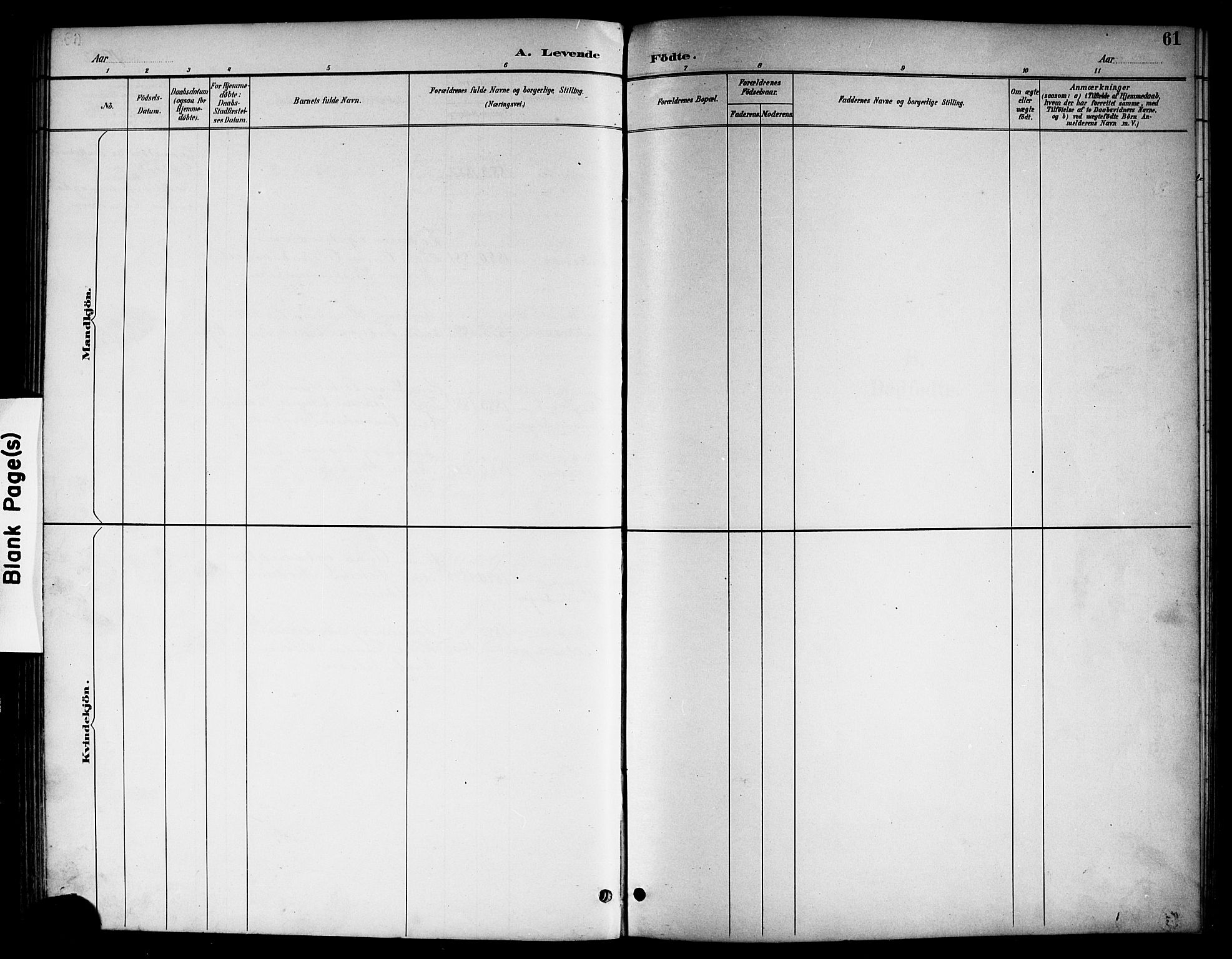 Brunlanes kirkebøker, SAKO/A-342/G/Gc/L0002: Parish register (copy) no. III 2, 1891-1922, p. 61