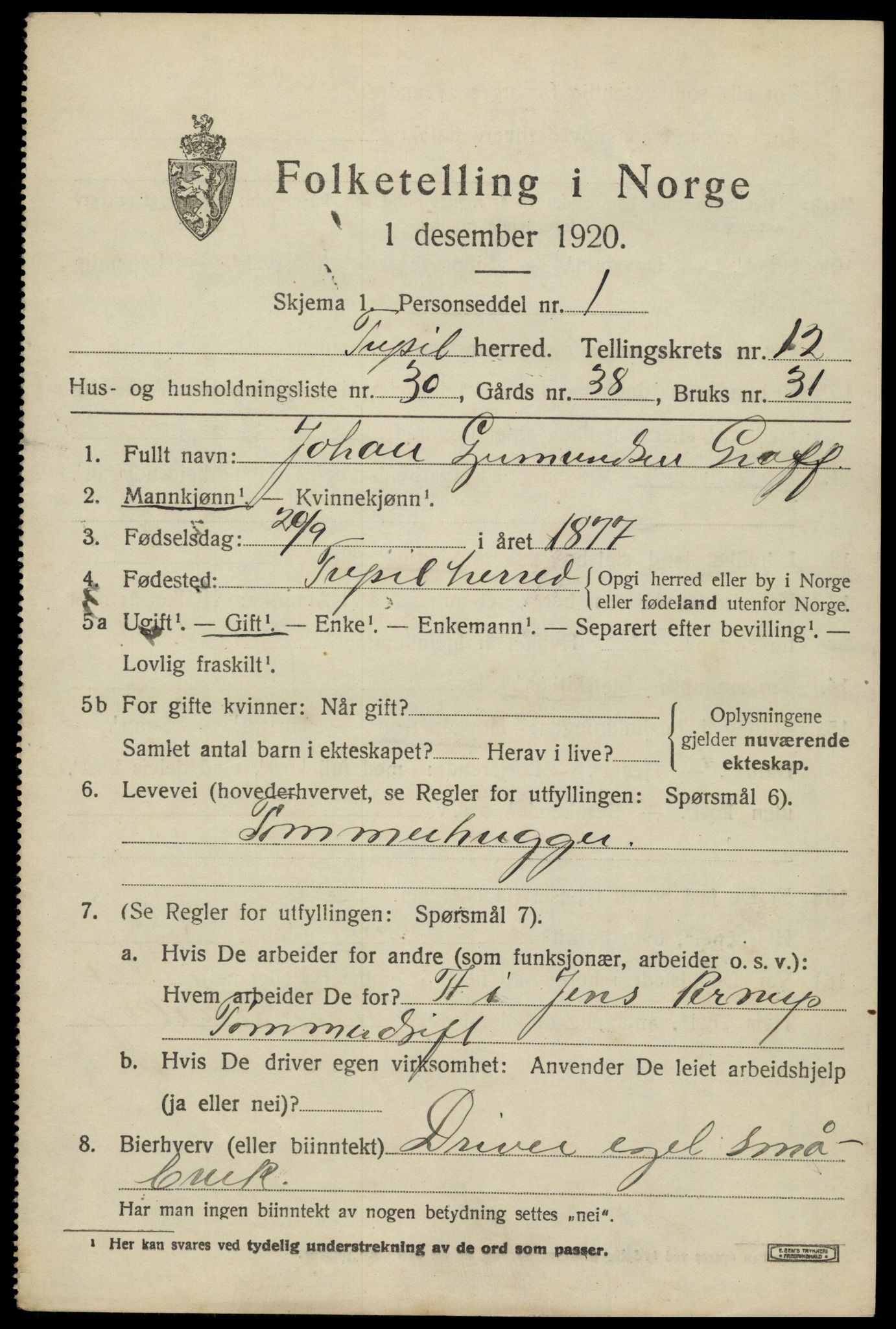 SAH, 1920 census for Trysil, 1920, p. 7539