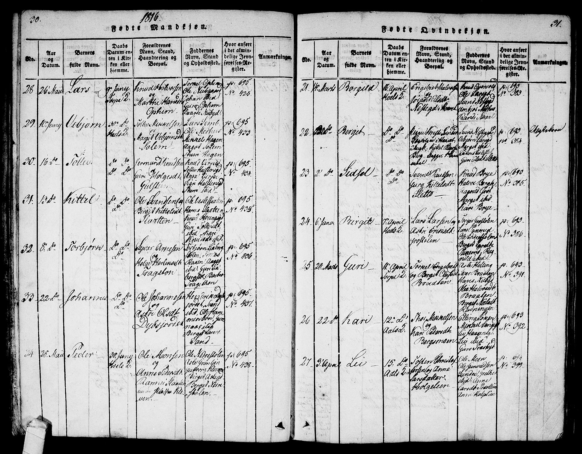 Ål kirkebøker, AV/SAKO-A-249/F/Fa/L0004: Parish register (official) no. I 4, 1815-1825, p. 30-31