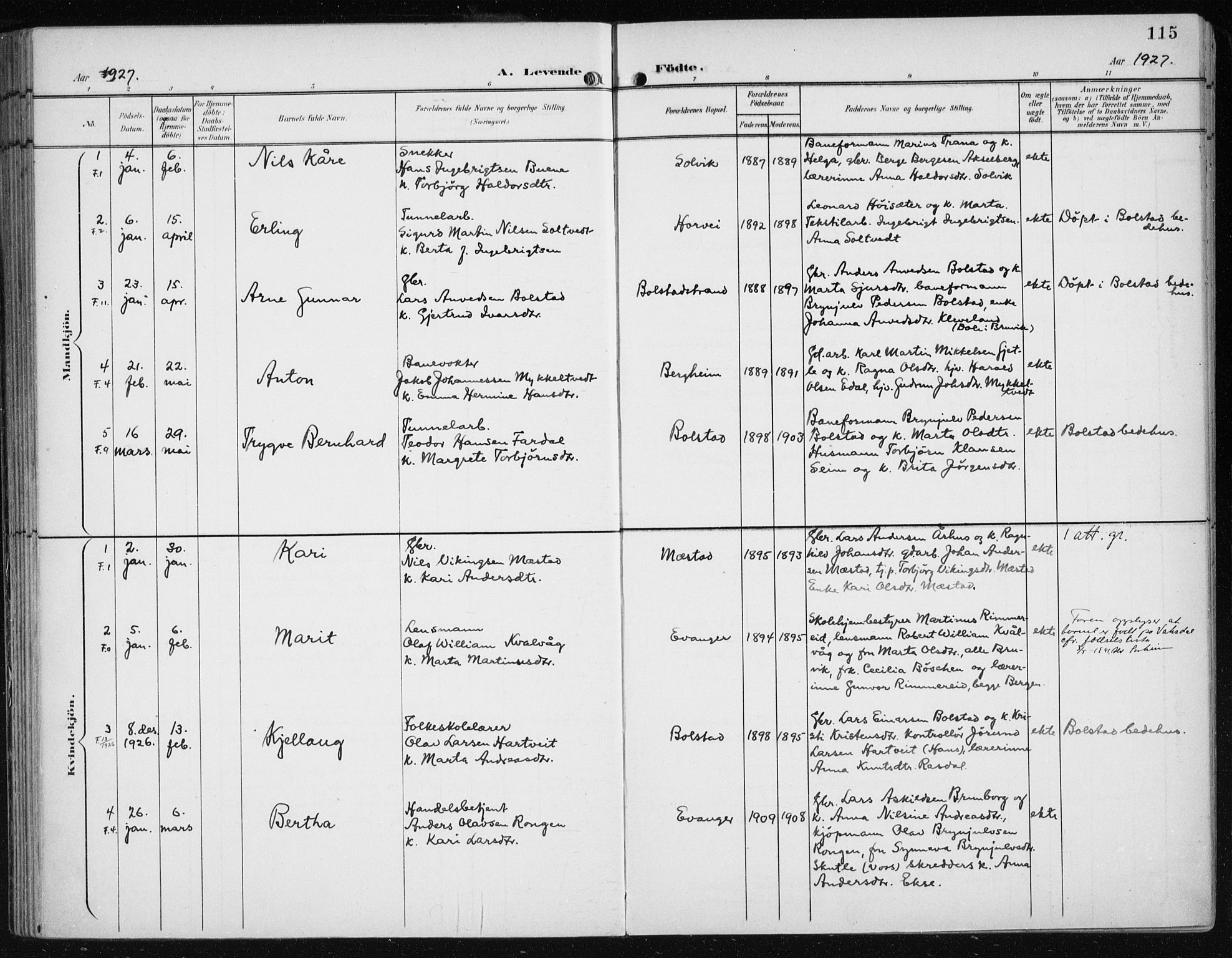 Evanger sokneprestembete, SAB/A-99924: Parish register (official) no. A  3, 1900-1930, p. 115
