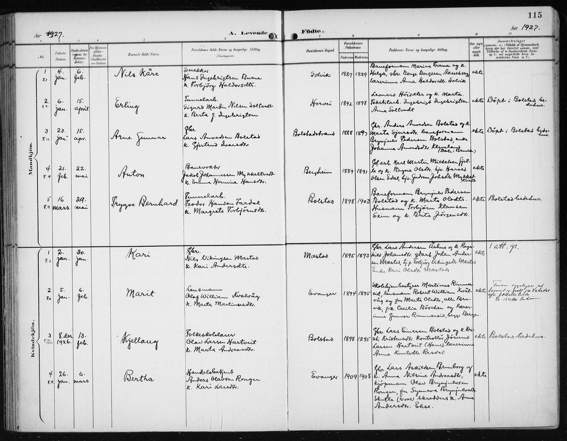 Evanger sokneprestembete, AV/SAB-A-99924: Parish register (official) no. A  3, 1900-1930, p. 115