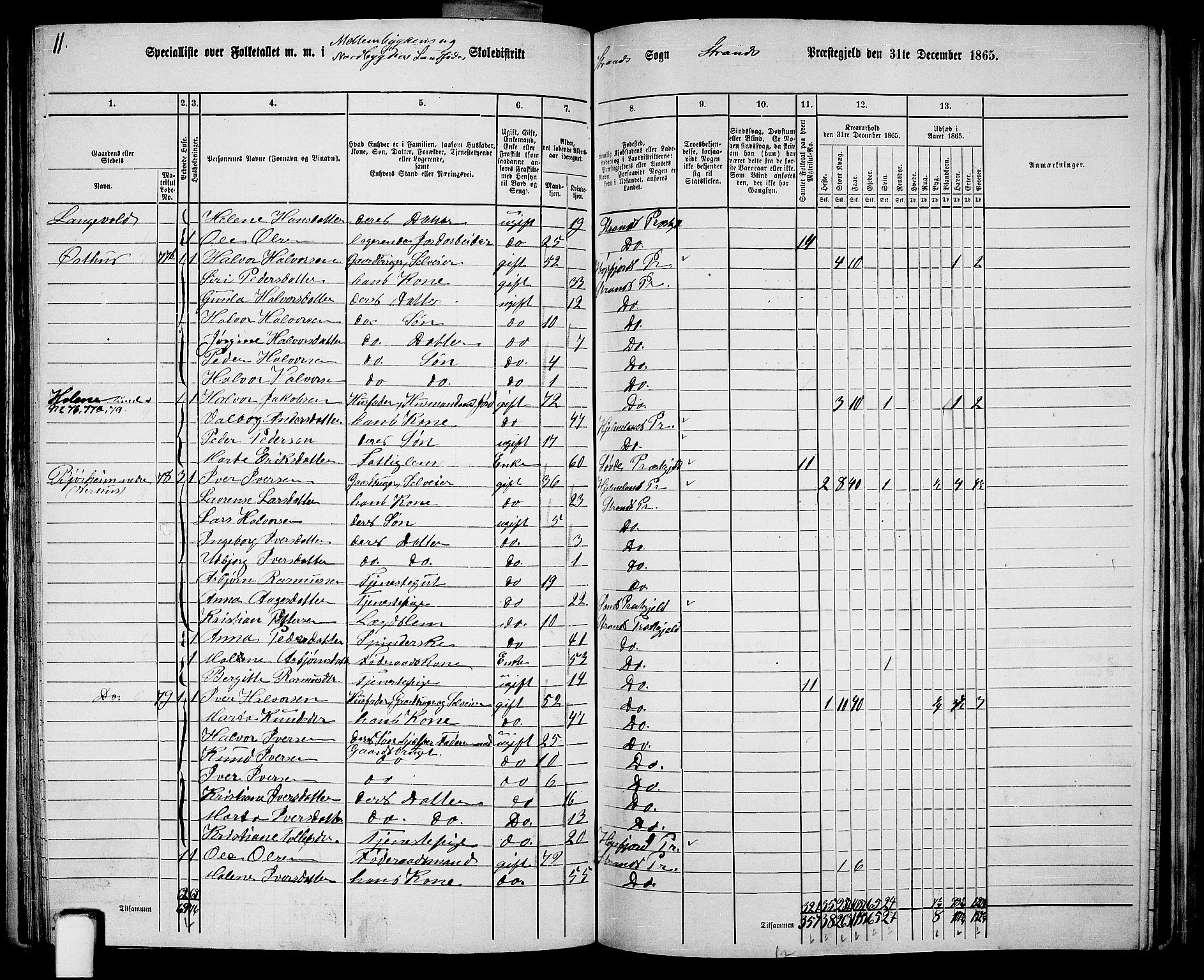 RA, 1865 census for Strand, 1865, p. 33