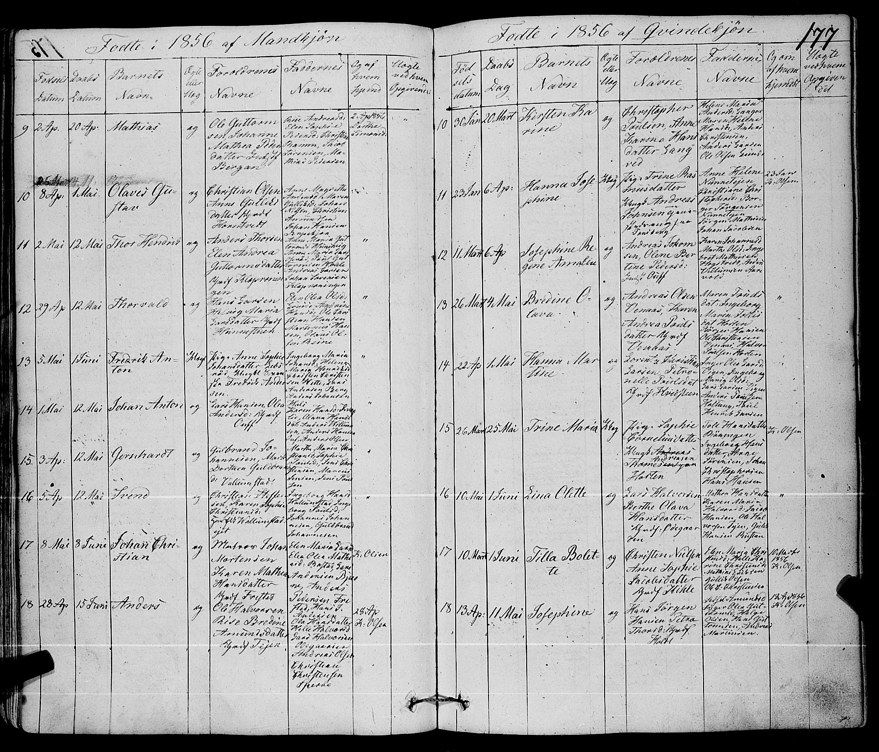 Ramnes kirkebøker, AV/SAKO-A-314/F/Fa/L0005: Parish register (official) no. I 5, 1841-1861, p. 176-177