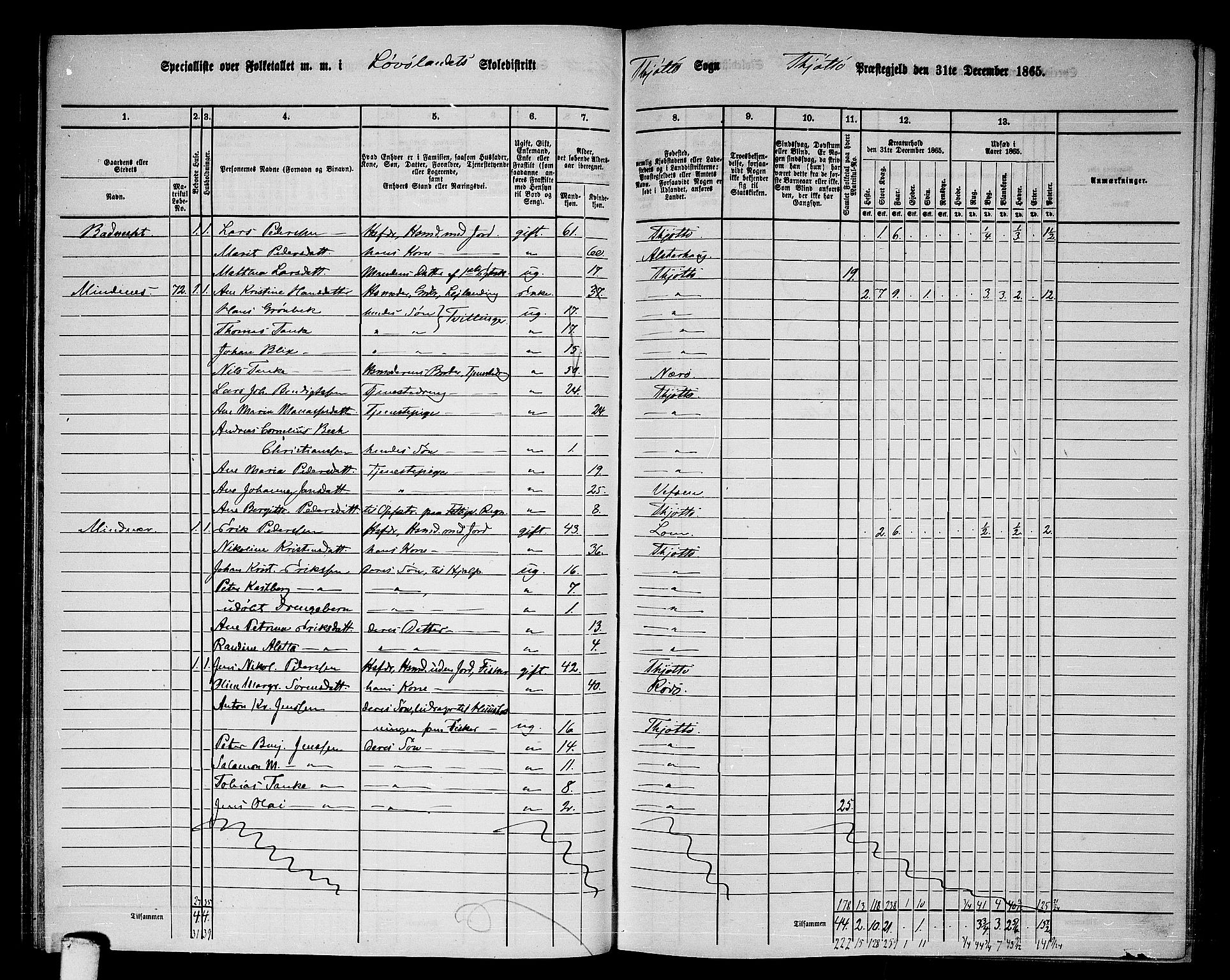 RA, 1865 census for Tjøtta, 1865, p. 50