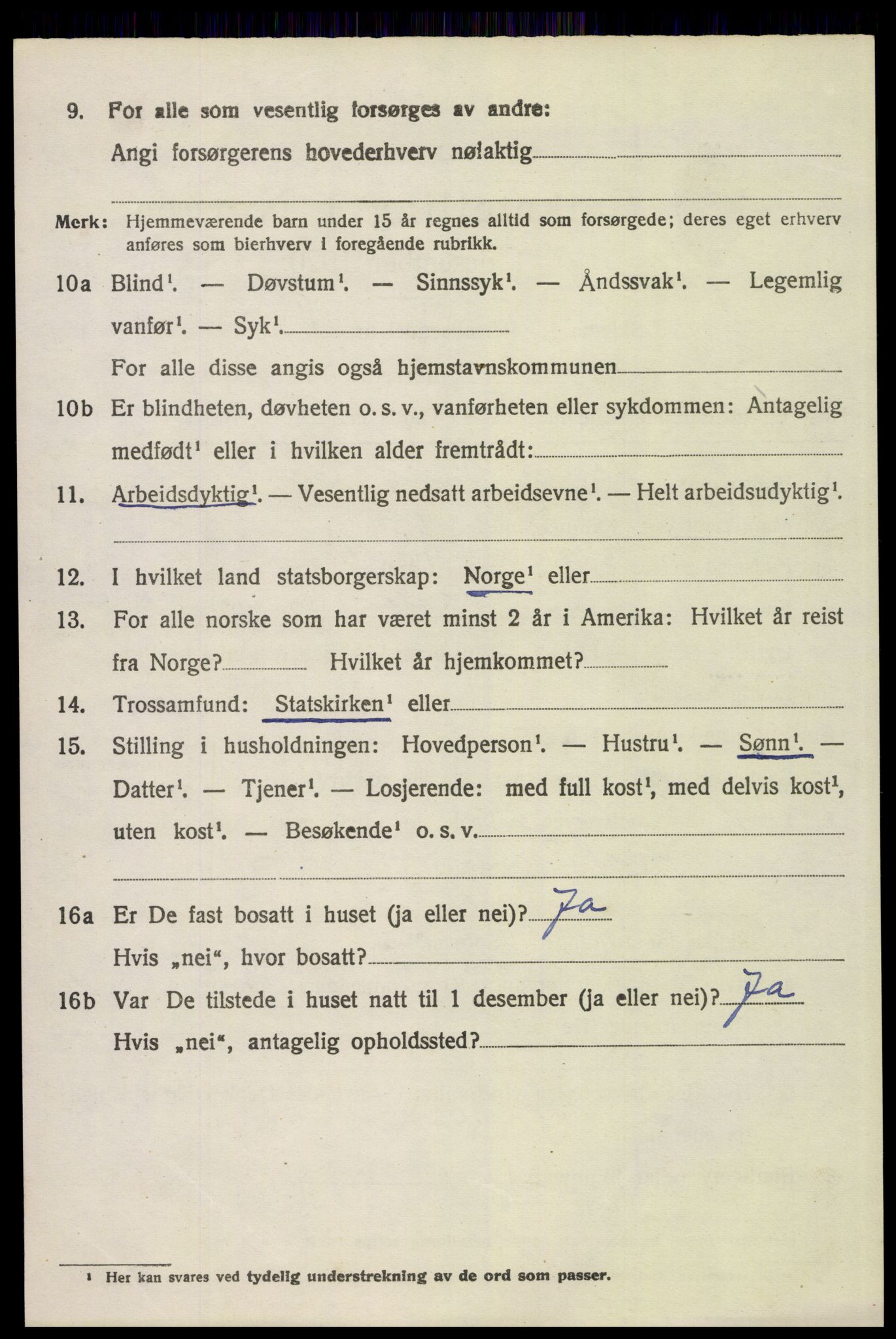 SAH, 1920 census for Åsnes, 1920, p. 9847