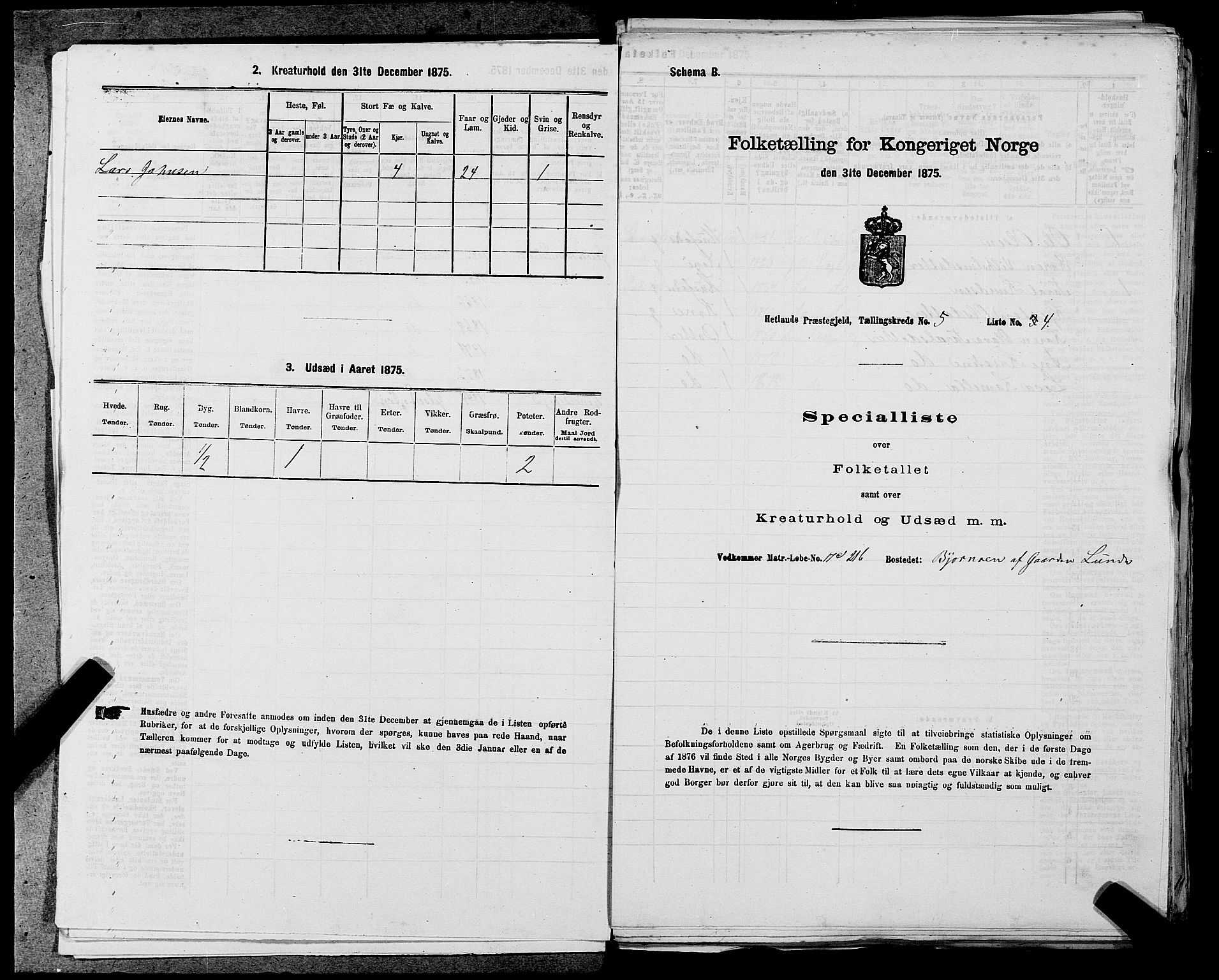 SAST, 1875 census for 1126P Hetland, 1875, p. 1058