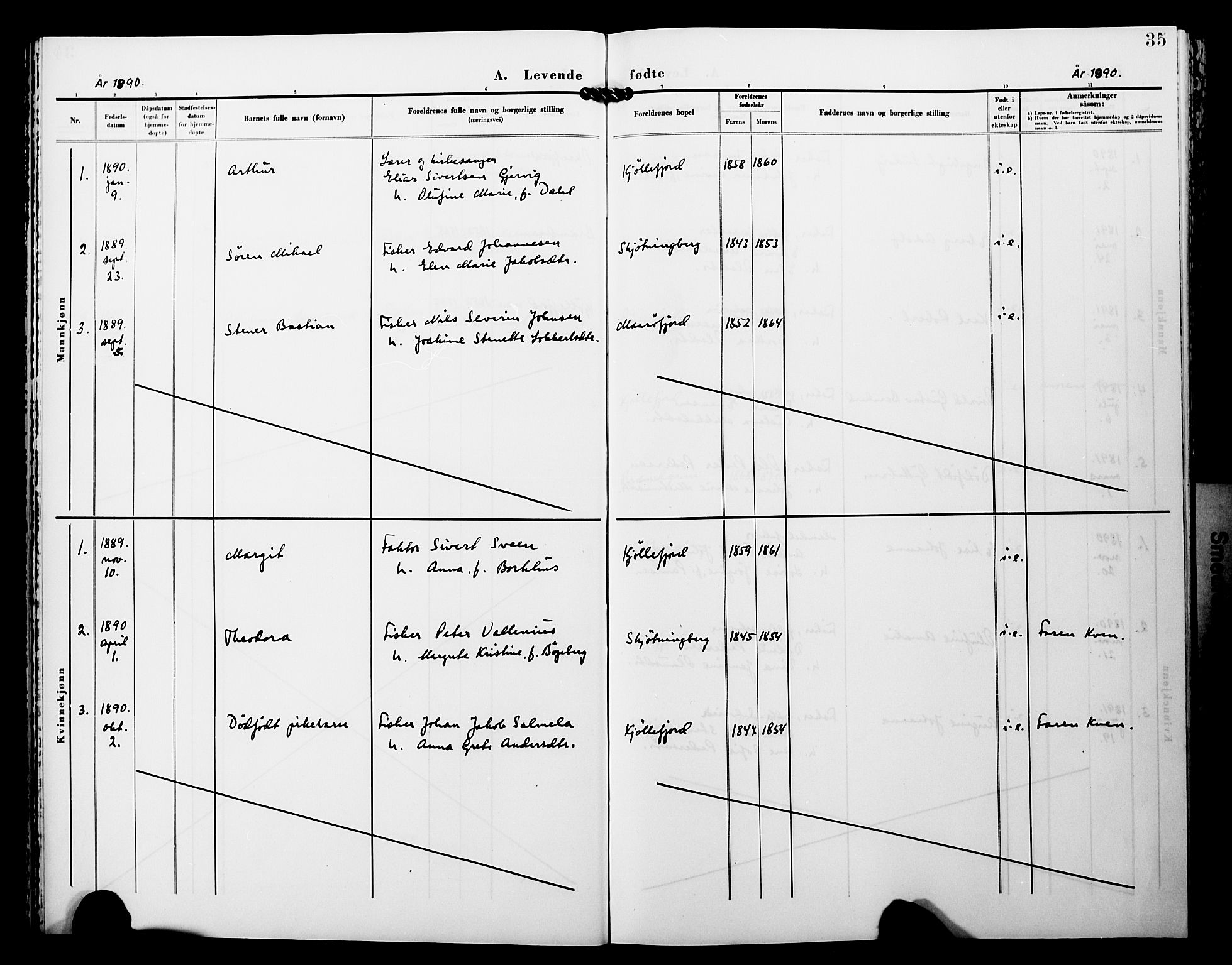 Lebesby sokneprestkontor, AV/SATØ-S-1353/H/Ha/L0005kirke: Parish register (official) no. 5, 1870-1902, p. 35