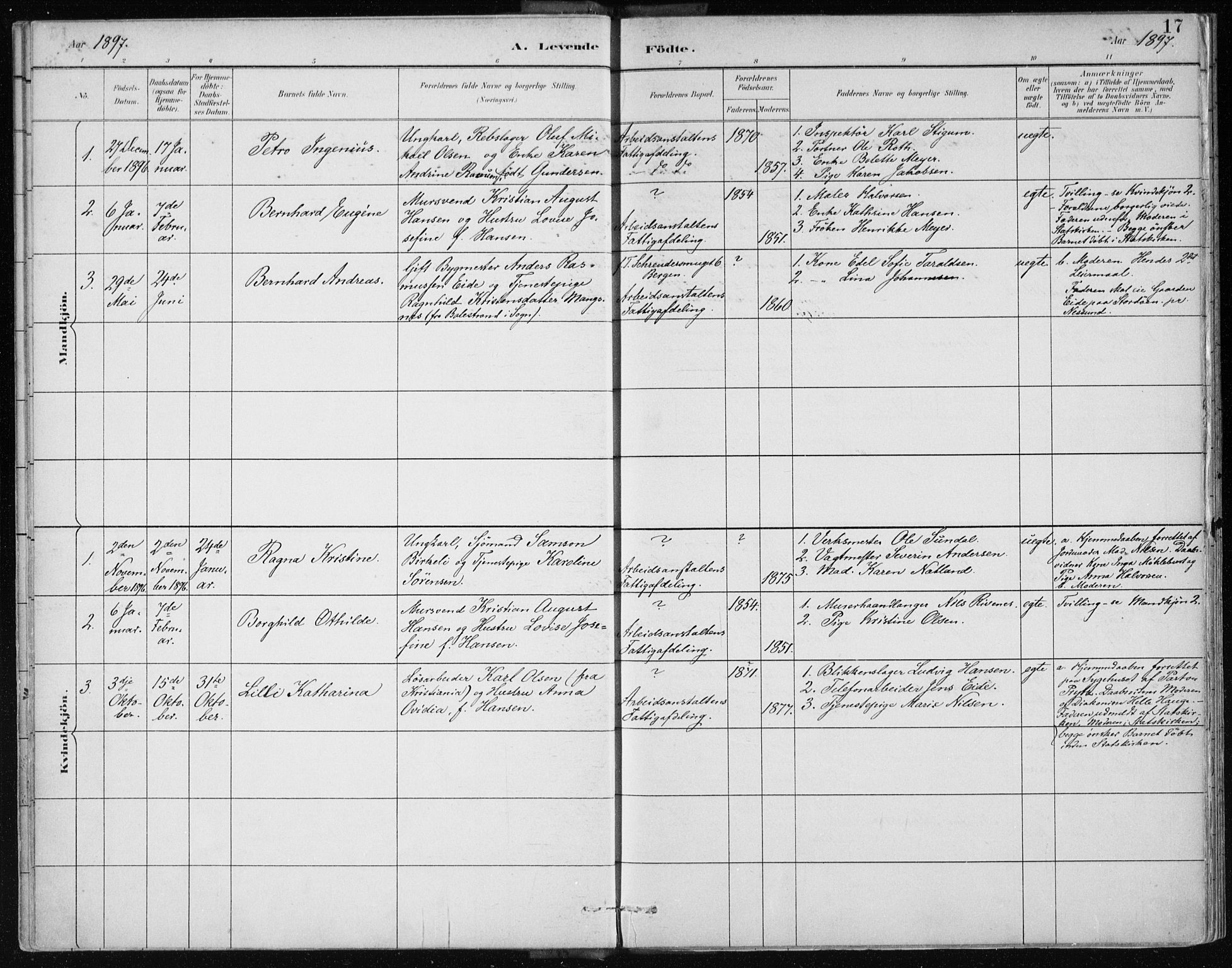 Bergen kommunale pleiehjem - stiftelsespresten, AV/SAB-A-100281: Parish register (official) no. A 2, 1887-1939, p. 17