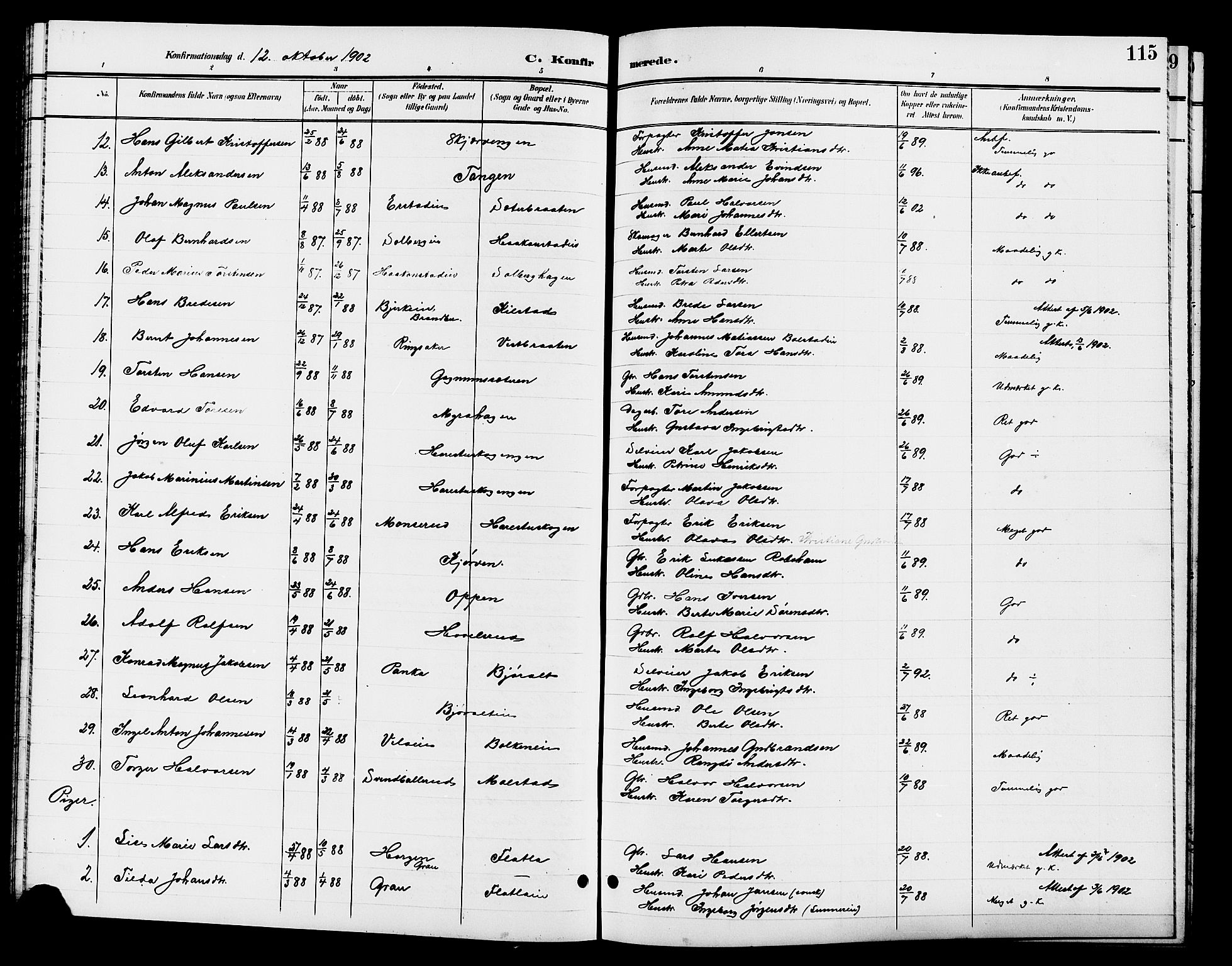 Jevnaker prestekontor, SAH/PREST-116/H/Ha/Hab/L0003: Parish register (copy) no. 3, 1896-1909, p. 115