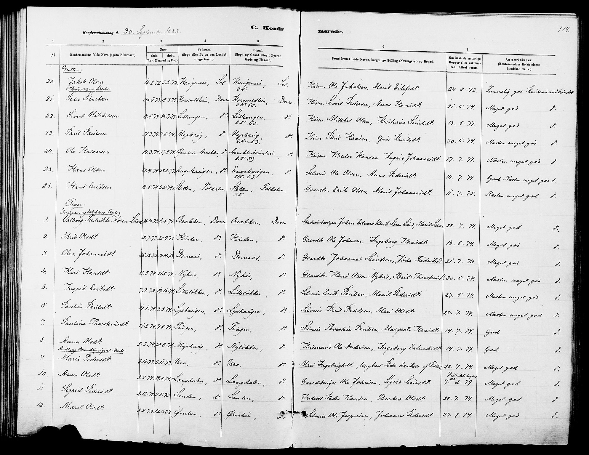 Dovre prestekontor, SAH/PREST-066/H/Ha/Haa/L0002: Parish register (official) no. 2, 1879-1890, p. 114