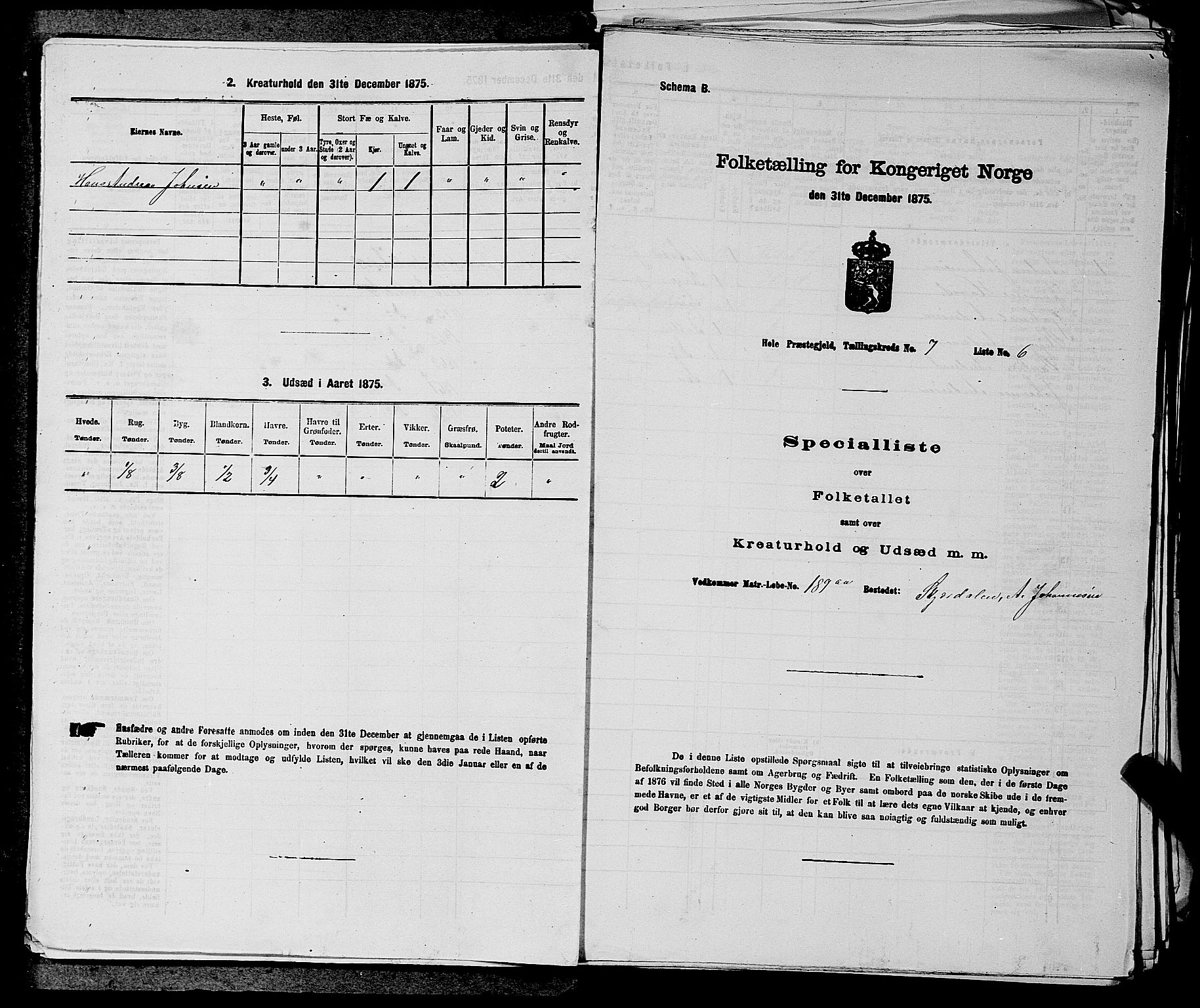 SAKO, 1875 census for 0612P Hole, 1875, p. 1166