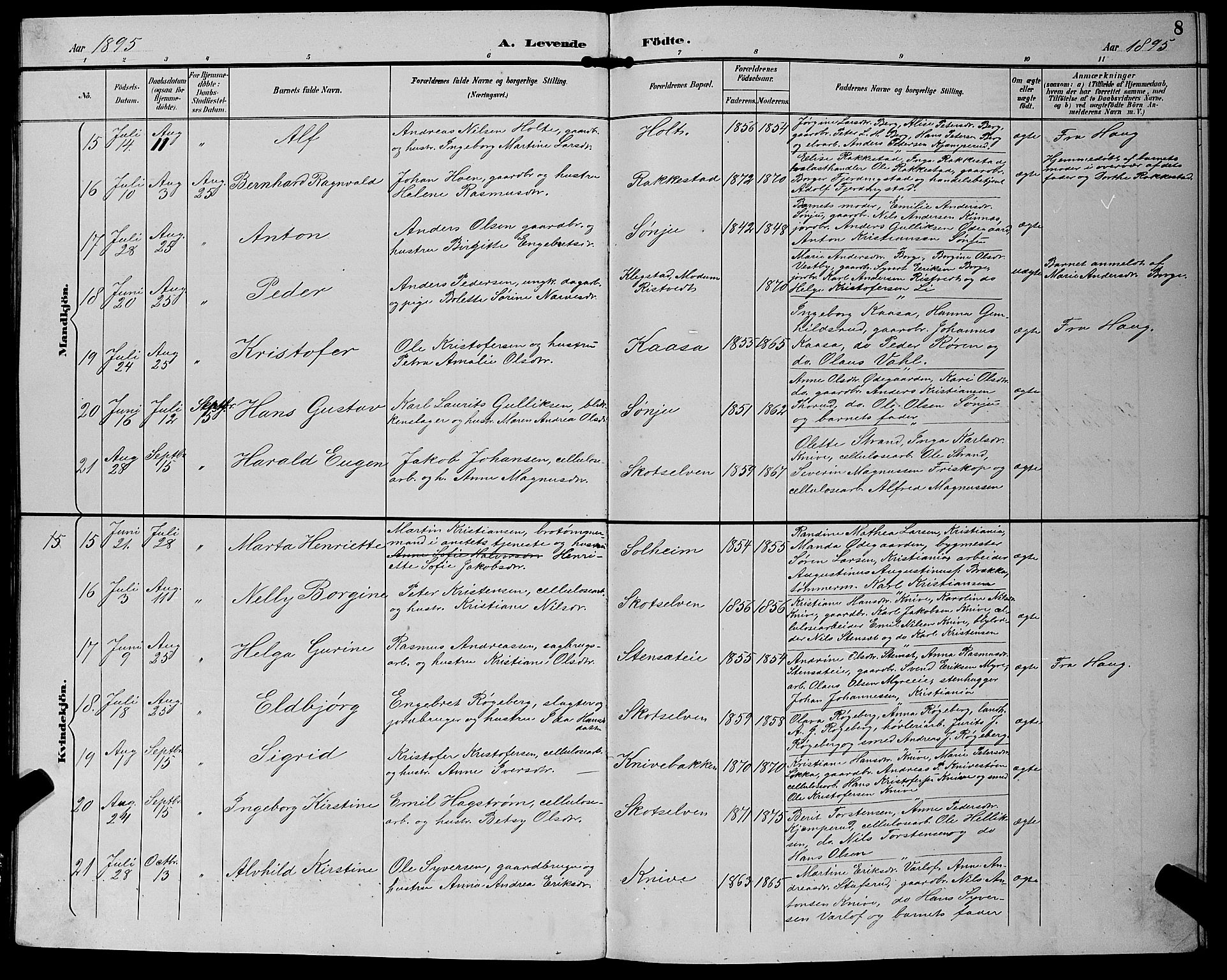 Eiker kirkebøker, AV/SAKO-A-4/G/Gb/L0004: Parish register (copy) no. II 4, 1894-1900, p. 8