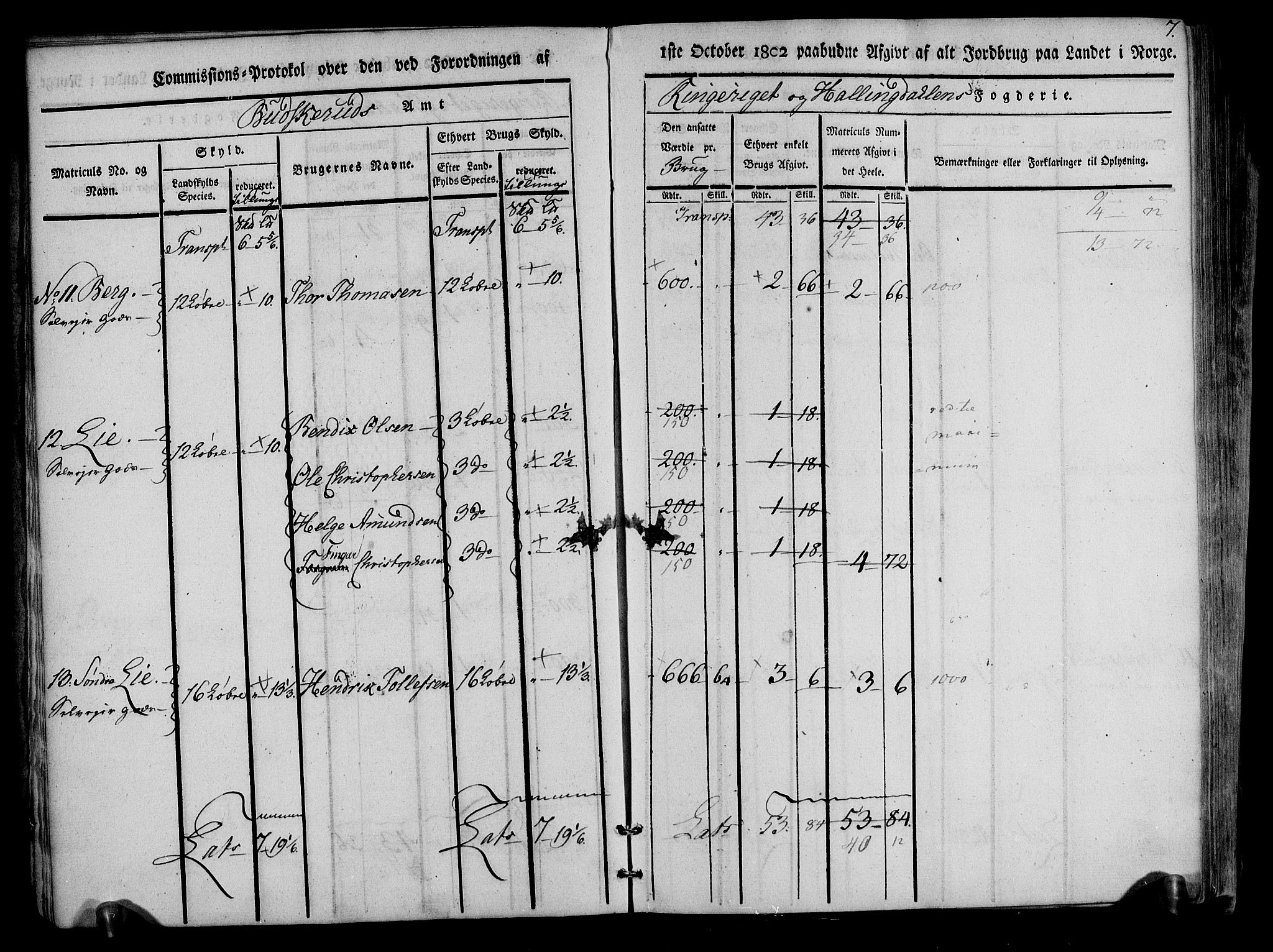 Rentekammeret inntil 1814, Realistisk ordnet avdeling, AV/RA-EA-4070/N/Ne/Nea/L0047: Ringerike og Hallingdal fogderi. Kommisjonsprotokoll for Nes prestegjeld, 1803, p. 8