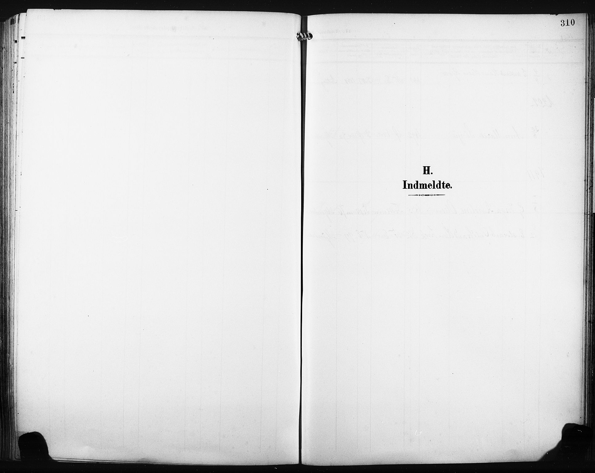Nedre Eiker kirkebøker, AV/SAKO-A-612/F/Fa/L0006: Parish register (official) no. 6, 1906-1912, p. 310