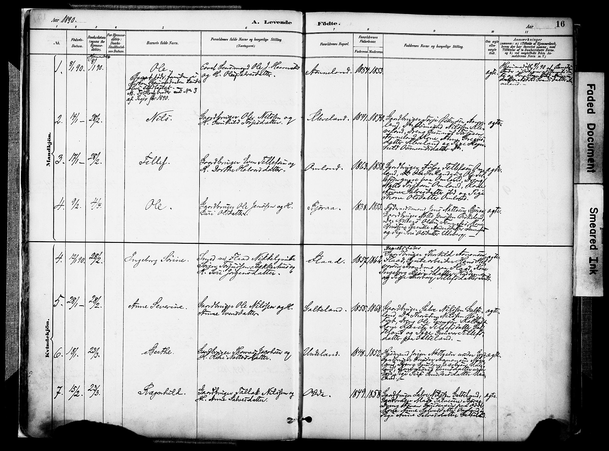 Evje sokneprestkontor, AV/SAK-1111-0008/F/Fa/Faa/L0007: Parish register (official) no. A 7, 1884-1909, p. 16