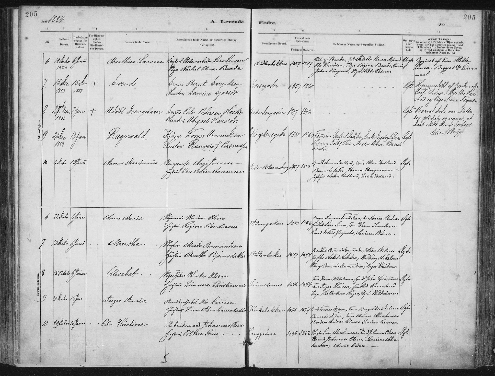 St. Petri sokneprestkontor, SAST/A-101813/001/30/30BA/L0015: Parish register (official) no. A 15, 1879-1888, p. 205
