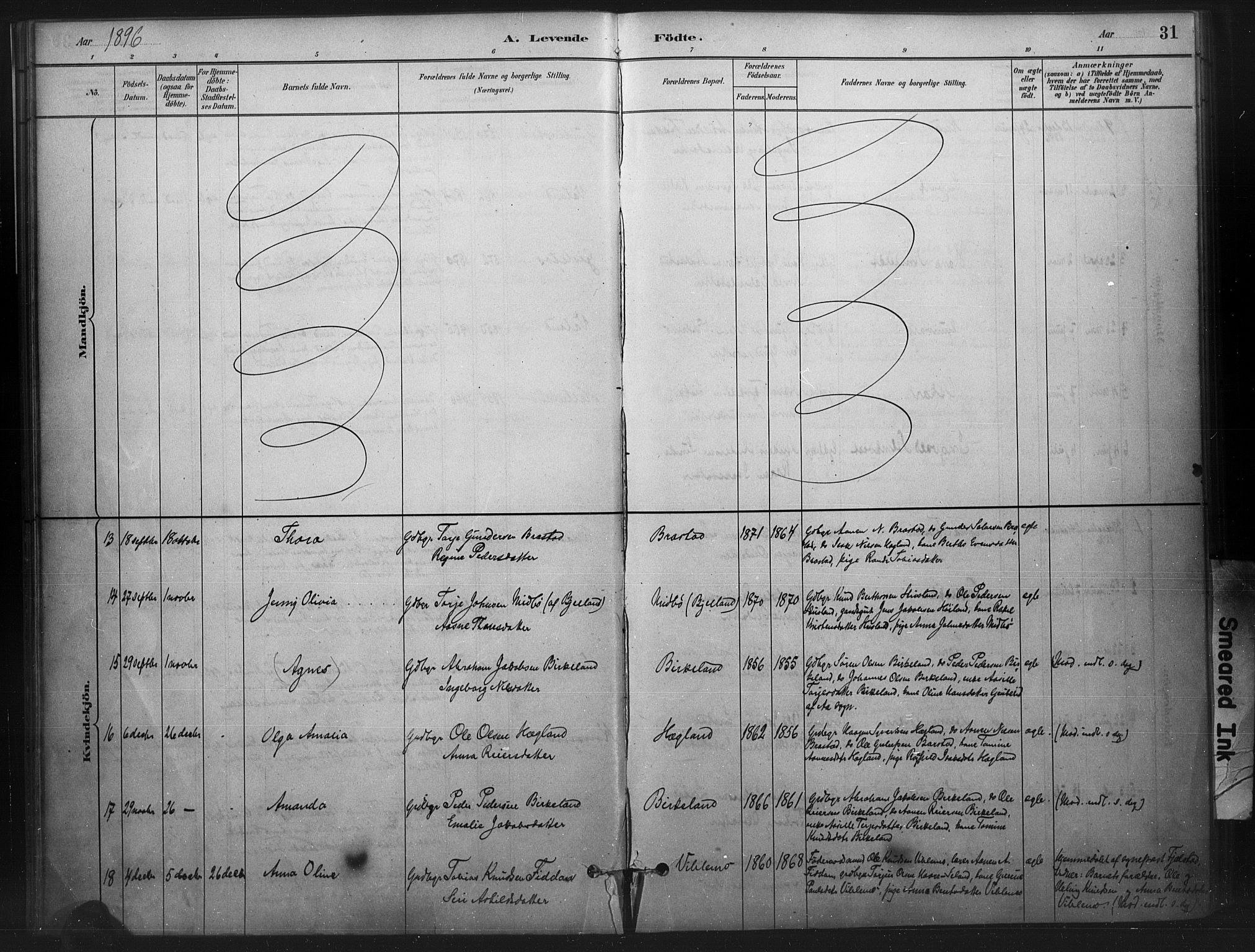 Nord-Audnedal sokneprestkontor, SAK/1111-0032/F/Fa/Faa/L0003: Parish register (official) no. A 3, 1882-1900, p. 31