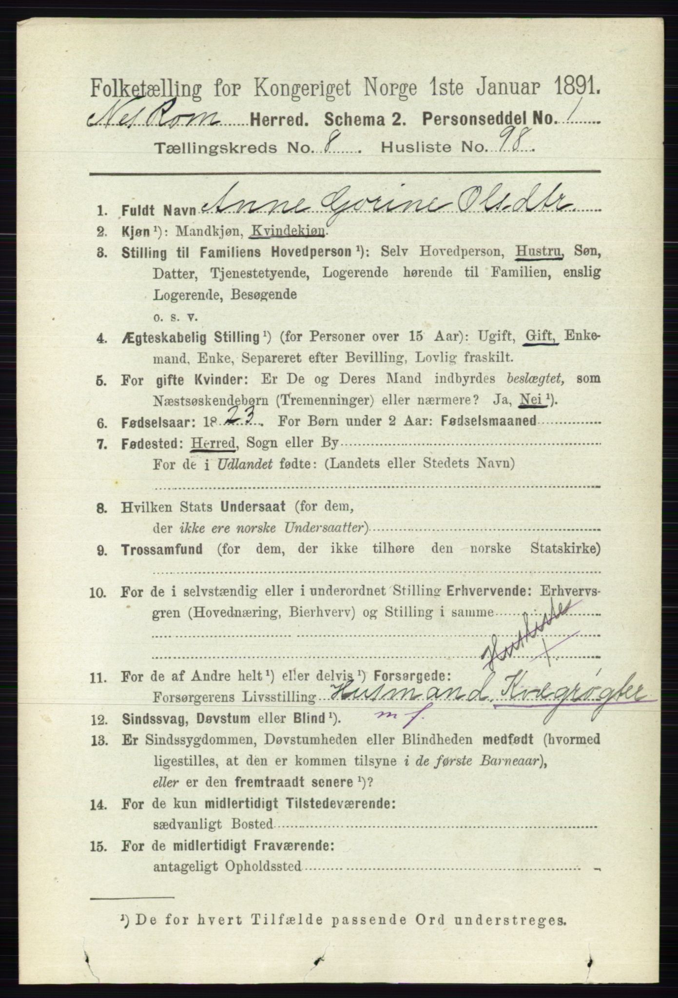 RA, 1891 census for 0236 Nes, 1891, p. 5181