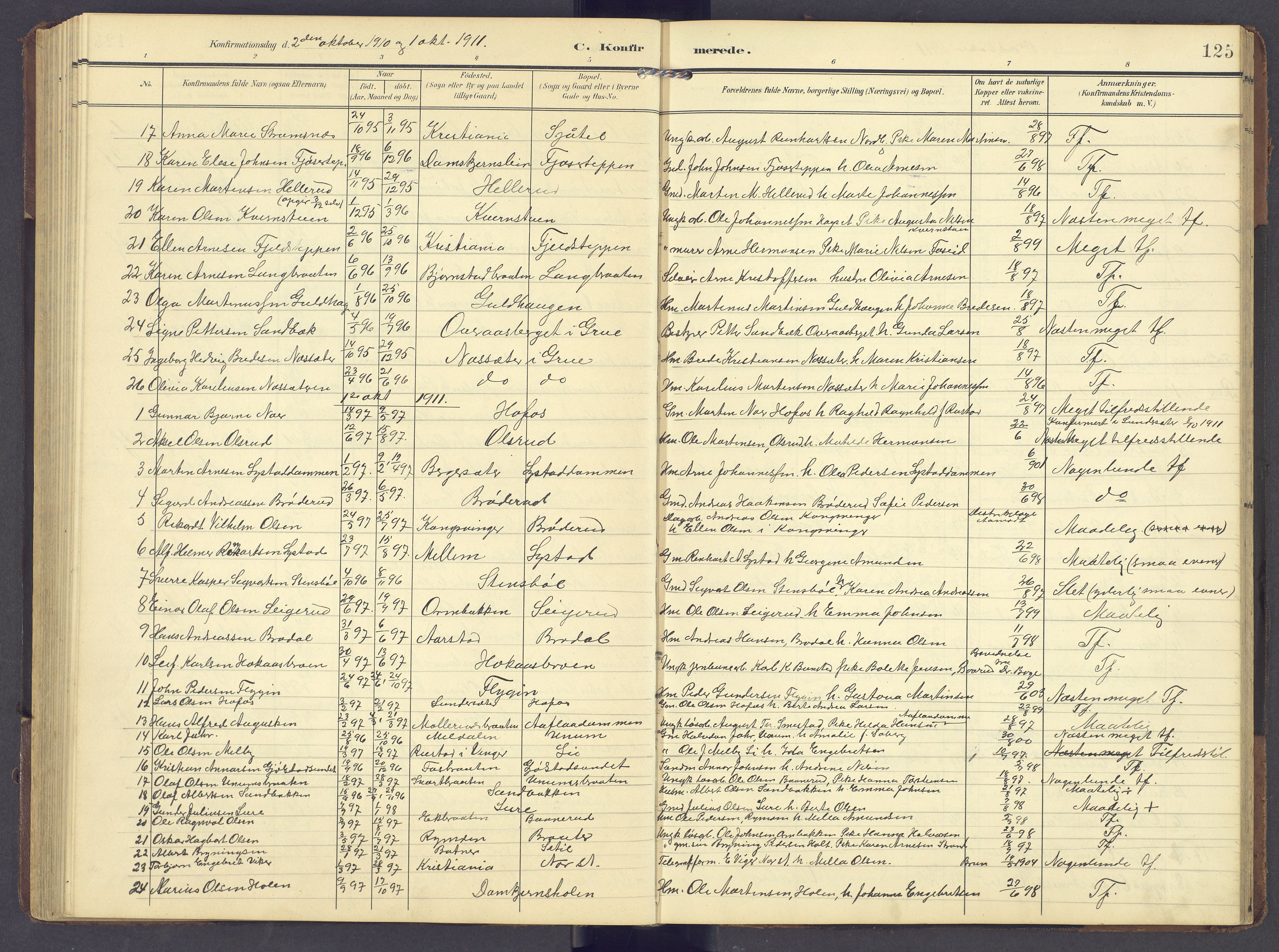 Brandval prestekontor, AV/SAH-PREST-034/H/Ha/Hab/L0003: Parish register (copy) no. 3, 1904-1917, p. 125