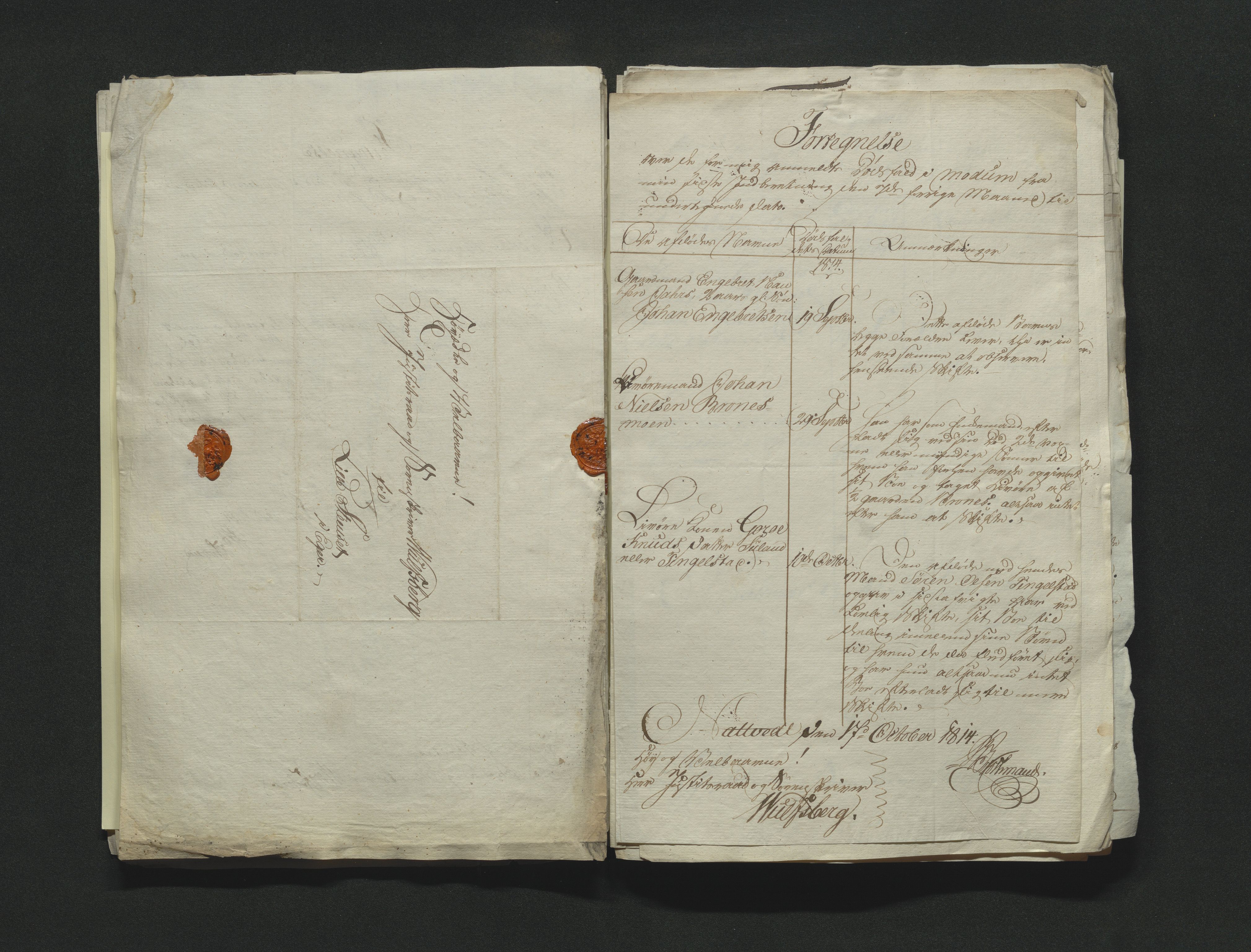 Eiker, Modum og Sigdal sorenskriveri, AV/SAKO-A-123/H/Ha/Hab/L0001: Dødsfallsmeldinger, 1812-1822, p. 69