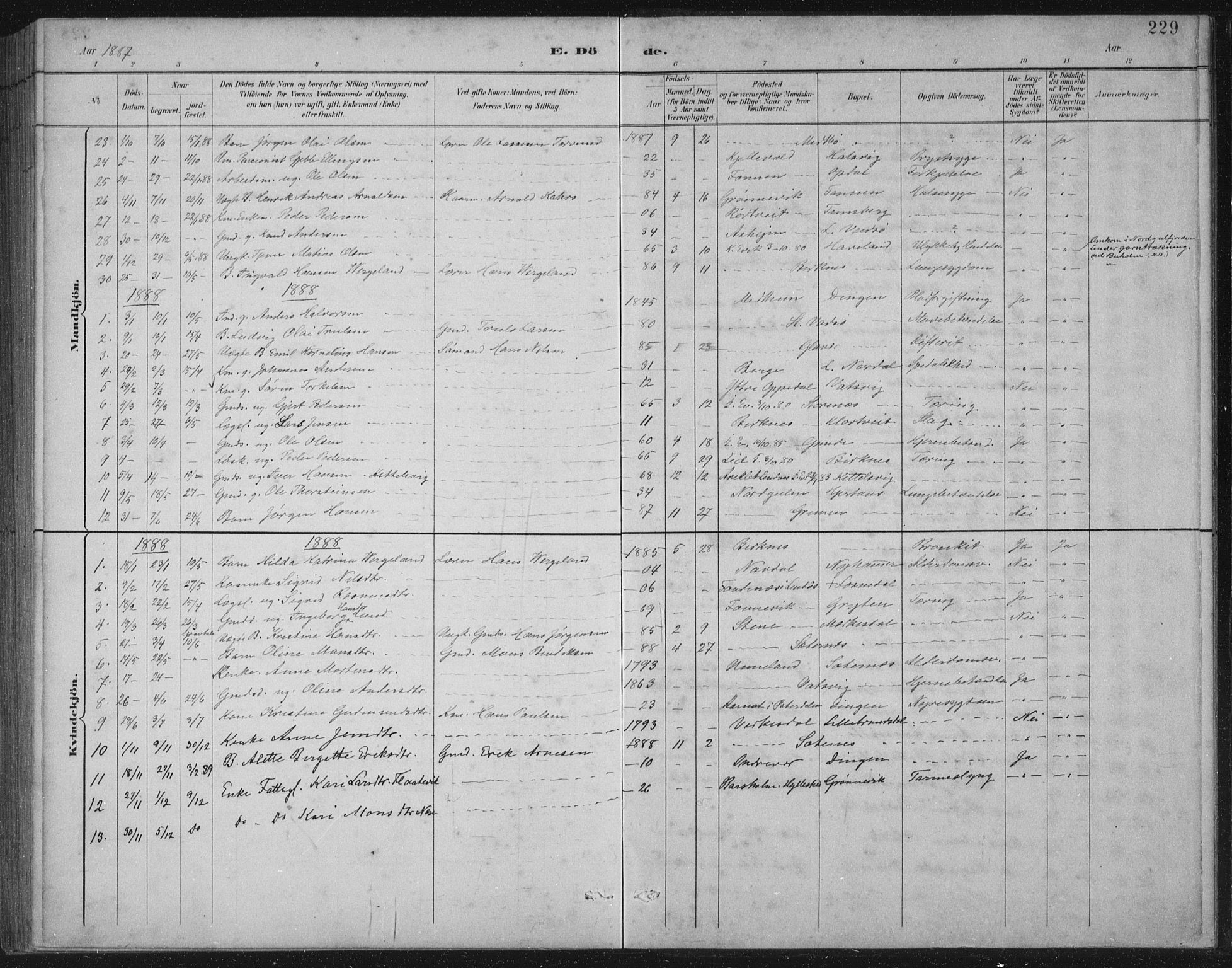 Gulen sokneprestembete, AV/SAB-A-80201/H/Hab/Habb/L0003: Parish register (copy) no. B 3, 1884-1907, p. 229