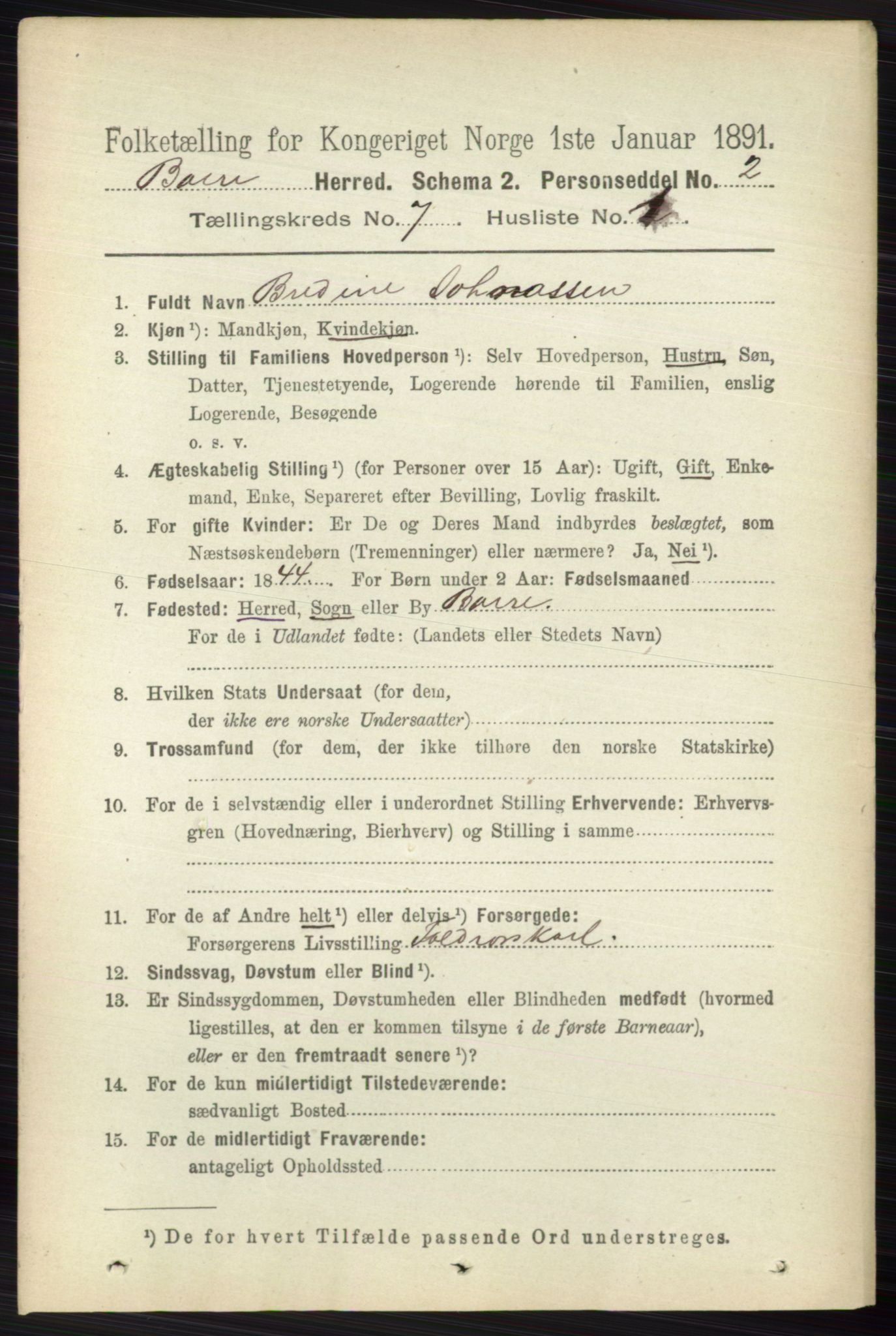 RA, 1891 census for 0717 Borre, 1891, p. 3223