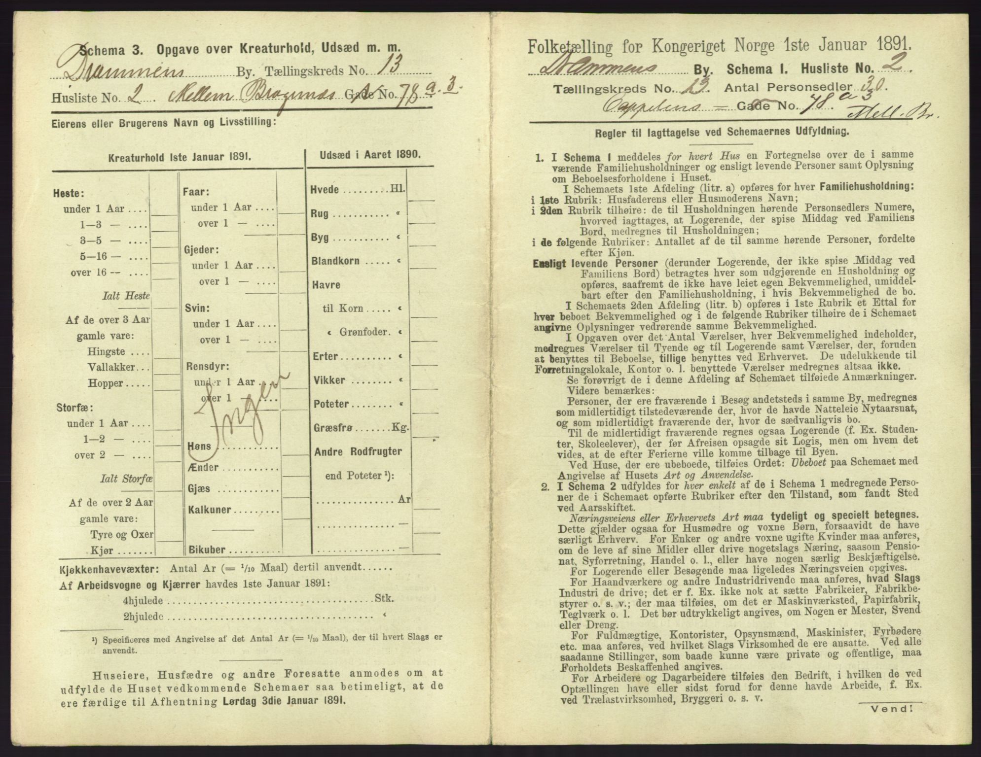 RA, 1891 census for 0602 Drammen, 1891, p. 1075