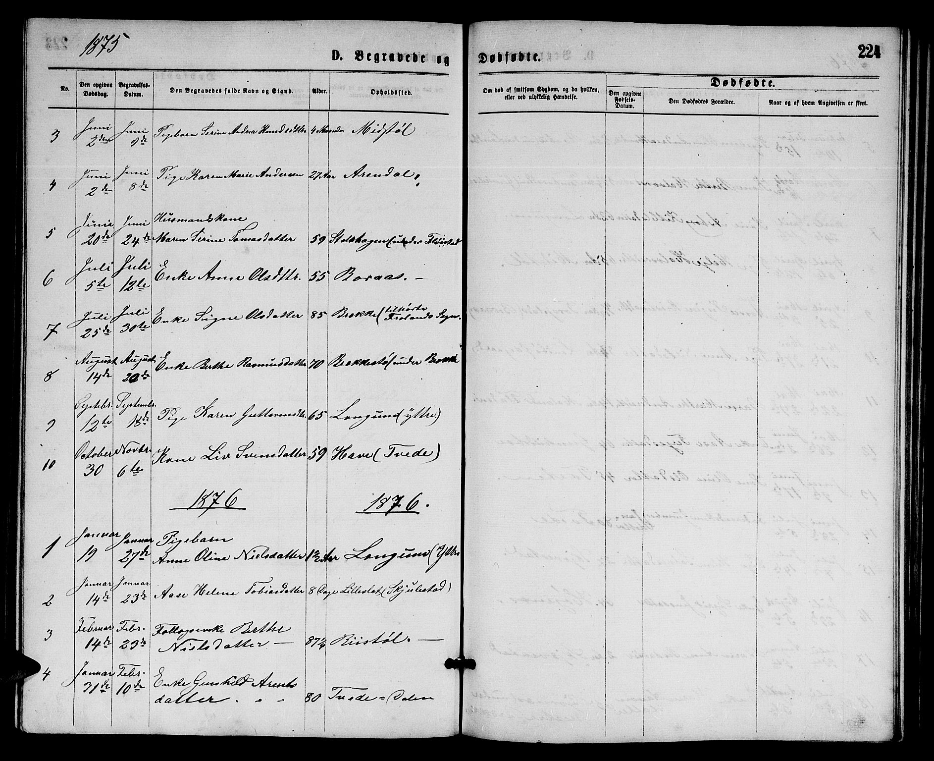 Austre Moland sokneprestkontor, AV/SAK-1111-0001/F/Fb/Fba/L0002: Parish register (copy) no. B 2, 1869-1879, p. 224