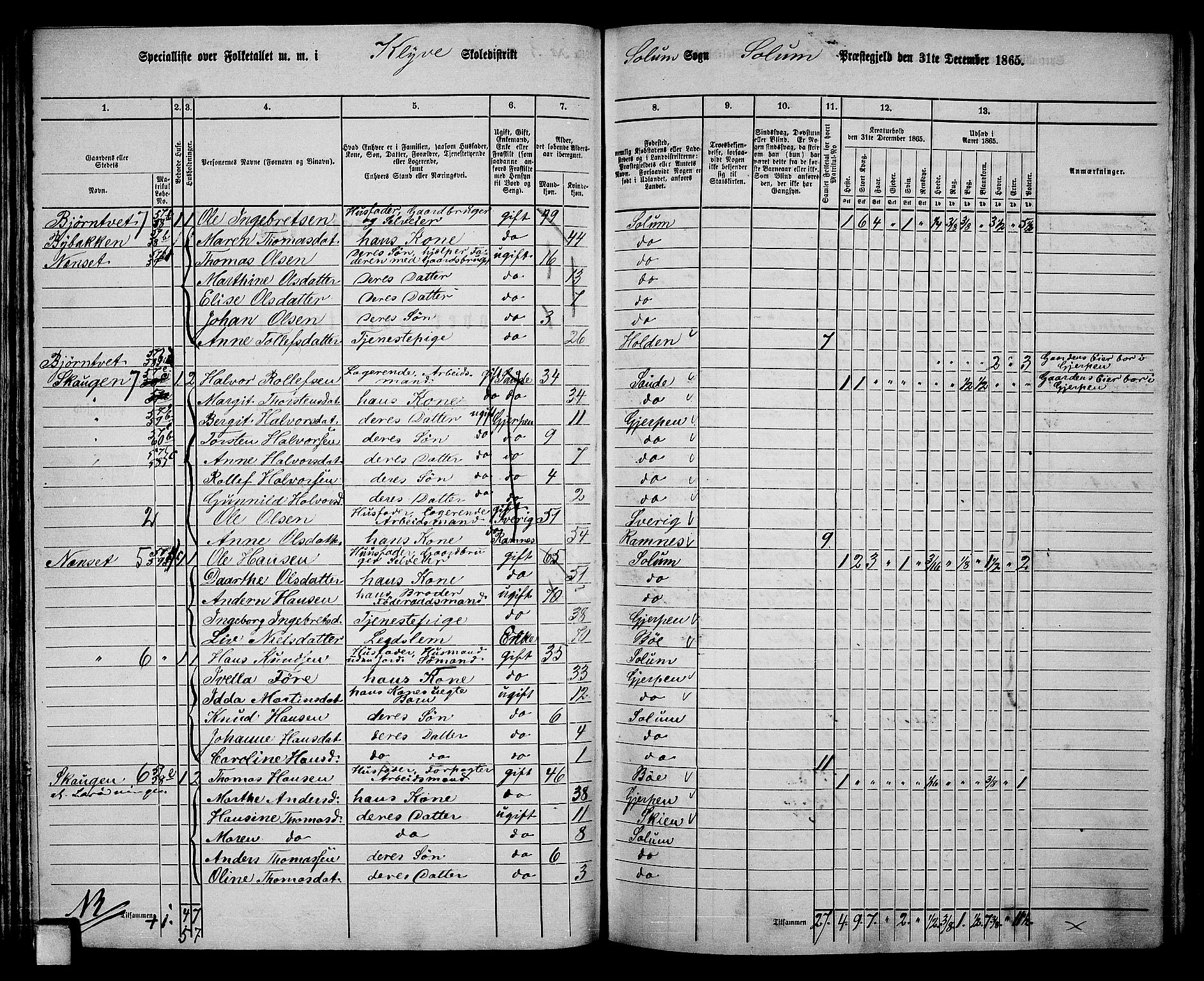 RA, 1865 census for Solum, 1865, p. 71