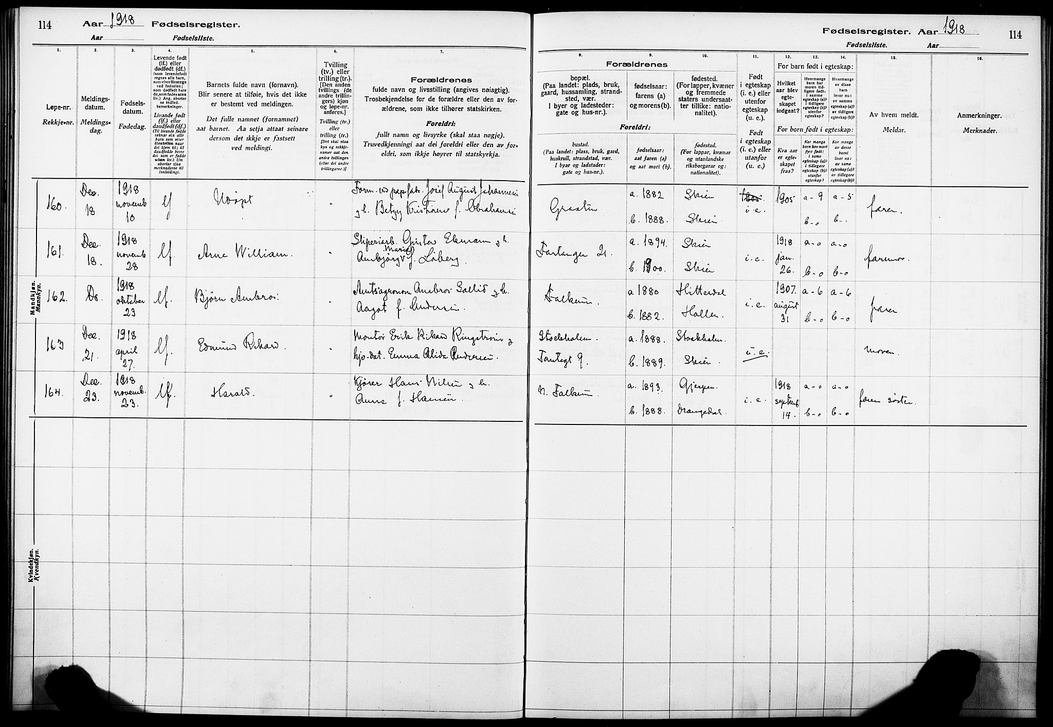 Skien kirkebøker, AV/SAKO-A-302/J/Ja/L0001: Birth register no. 1, 1916-1920, p. 114