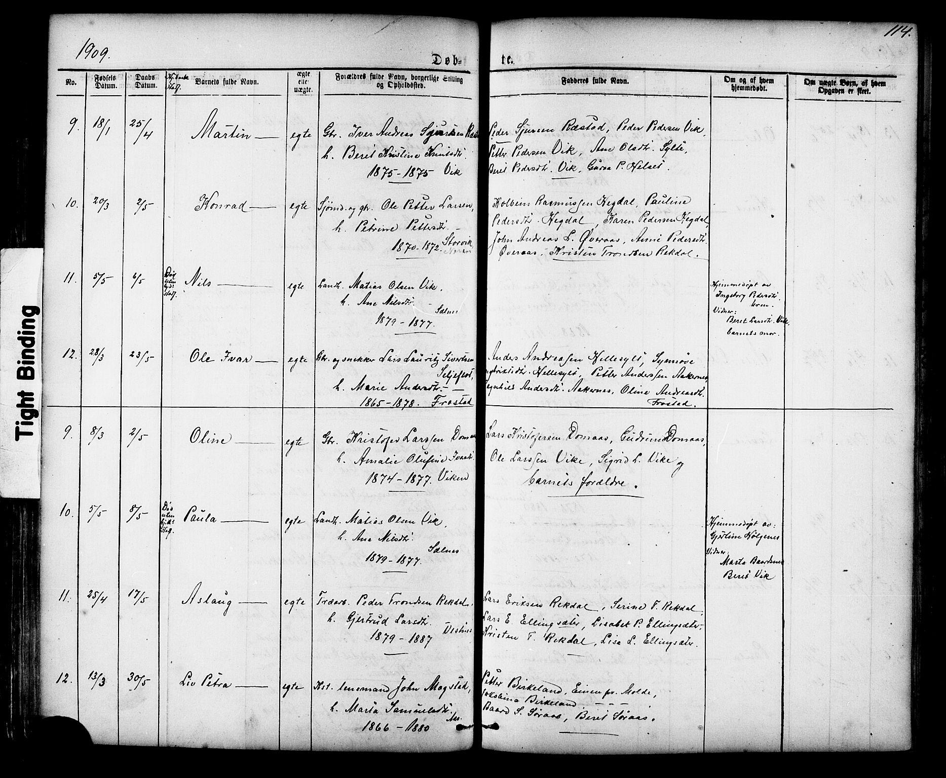 Ministerialprotokoller, klokkerbøker og fødselsregistre - Møre og Romsdal, AV/SAT-A-1454/539/L0536: Parish register (copy) no. 539C02, 1867-1913, p. 114