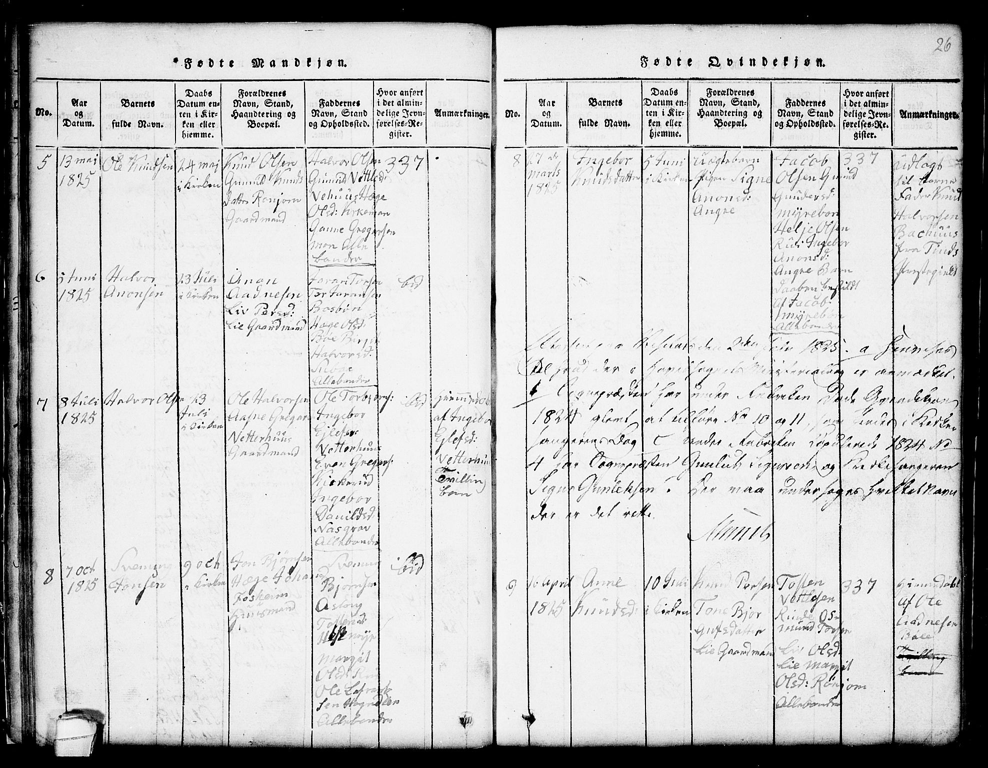 Seljord kirkebøker, SAKO/A-20/G/Gc/L0001: Parish register (copy) no. III 1, 1815-1849, p. 26