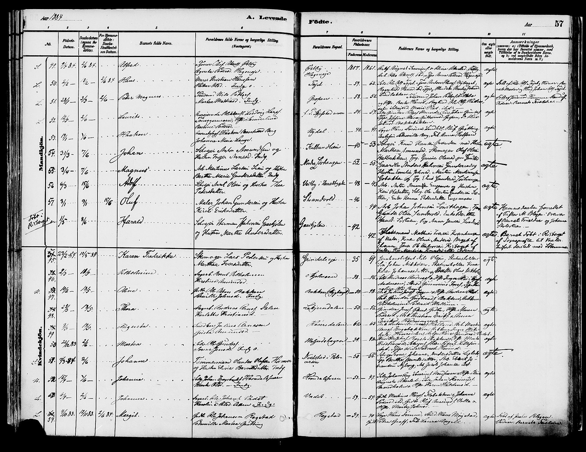 Elverum prestekontor, AV/SAH-PREST-044/H/Ha/Haa/L0013: Parish register (official) no. 13, 1880-1890, p. 57