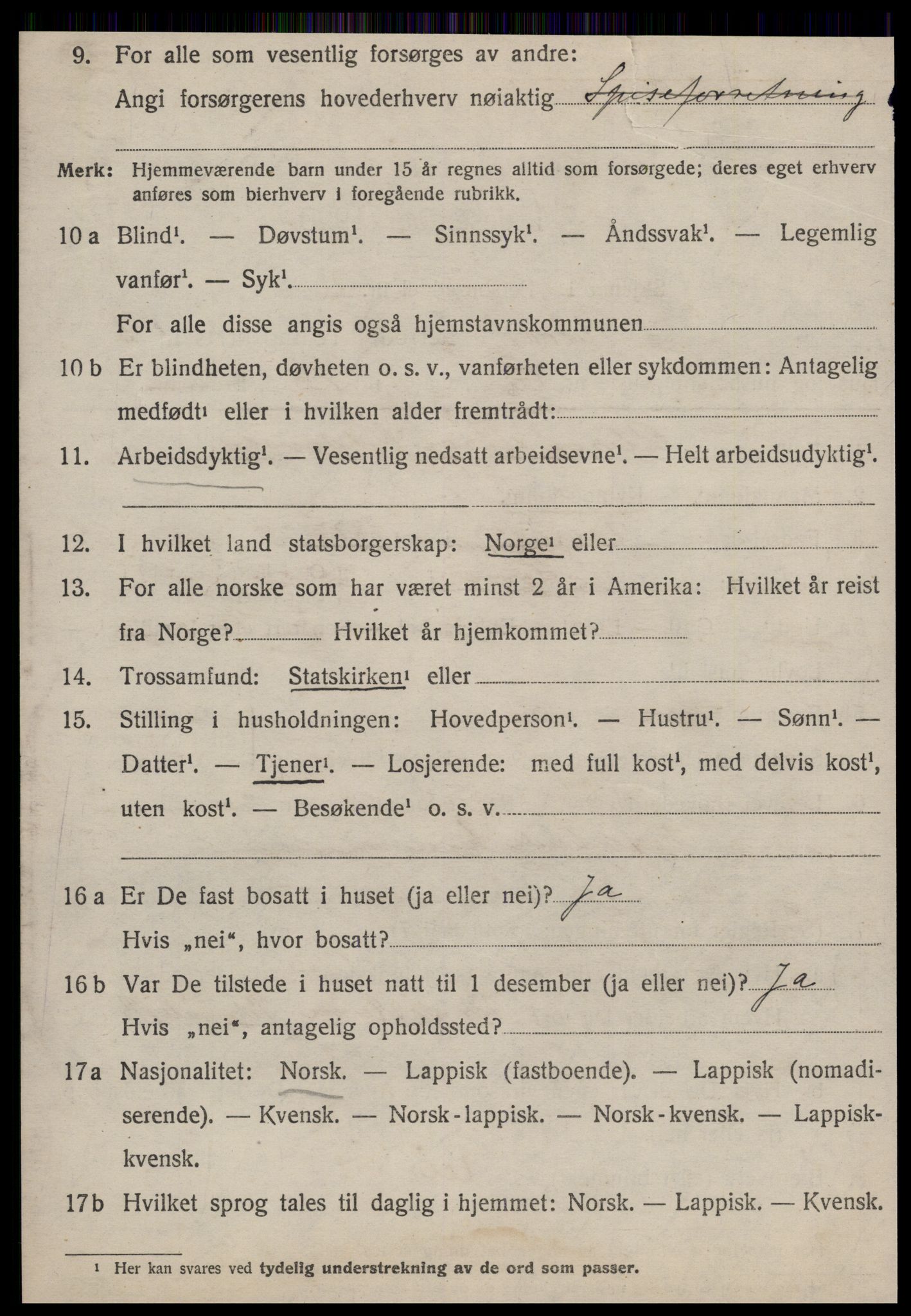 SAT, 1920 census for Røros, 1920, p. 3903