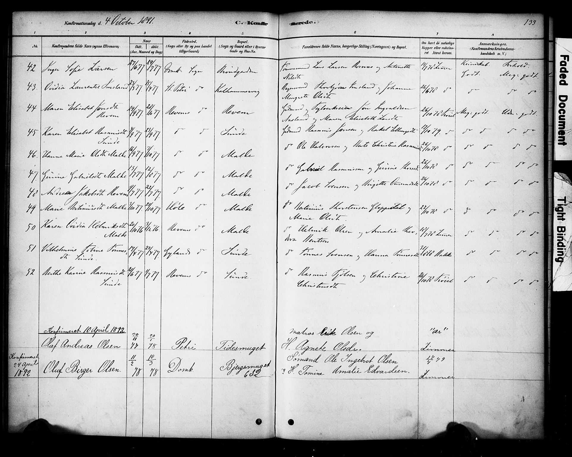 Domkirken sokneprestkontor, SAST/A-101812/001/30/30BA/L0028: Parish register (official) no. A 27, 1878-1896, p. 133