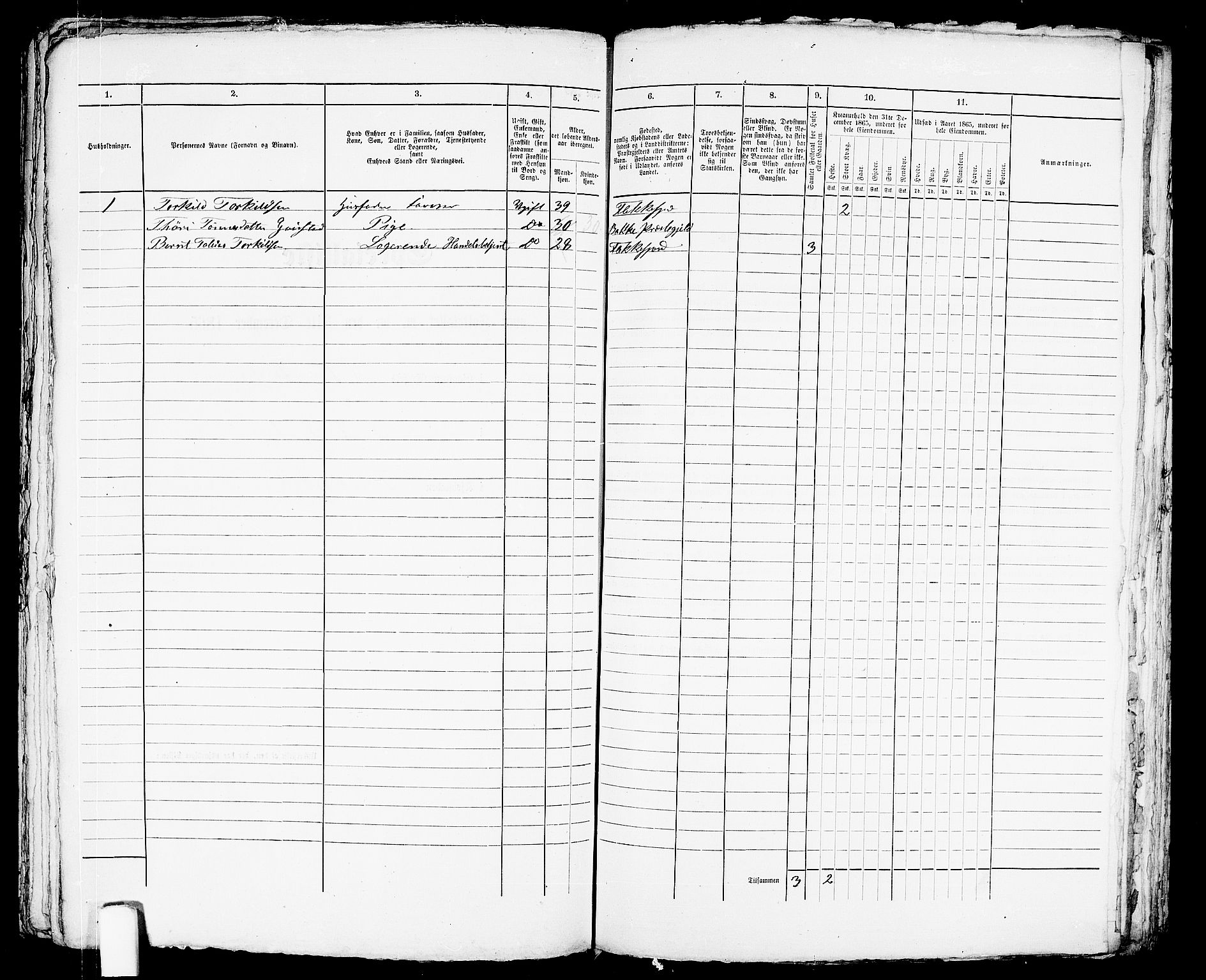 RA, 1865 census for Flekkefjord/Flekkefjord, 1865, p. 331