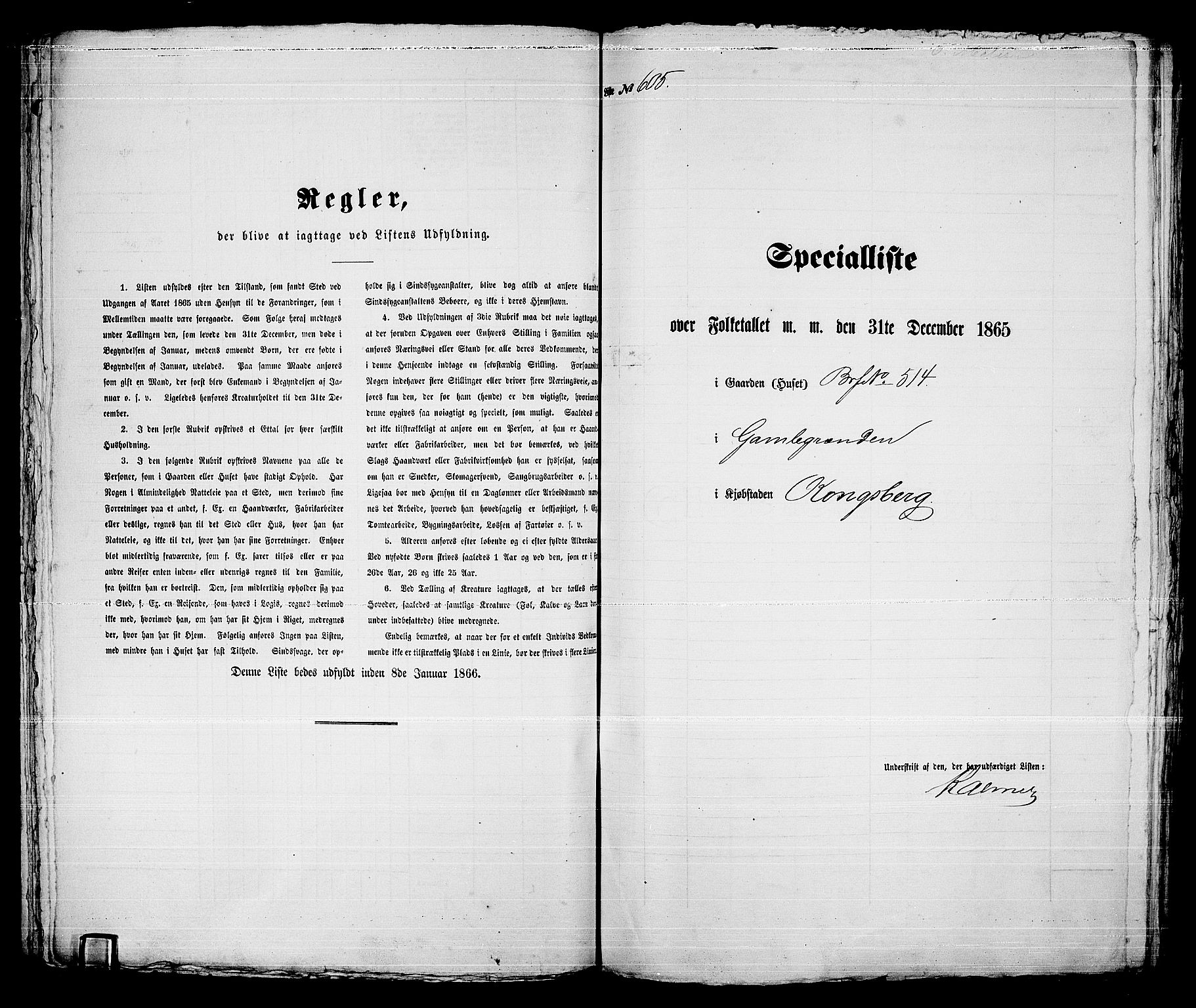 RA, 1865 census for Kongsberg/Kongsberg, 1865, p. 1232