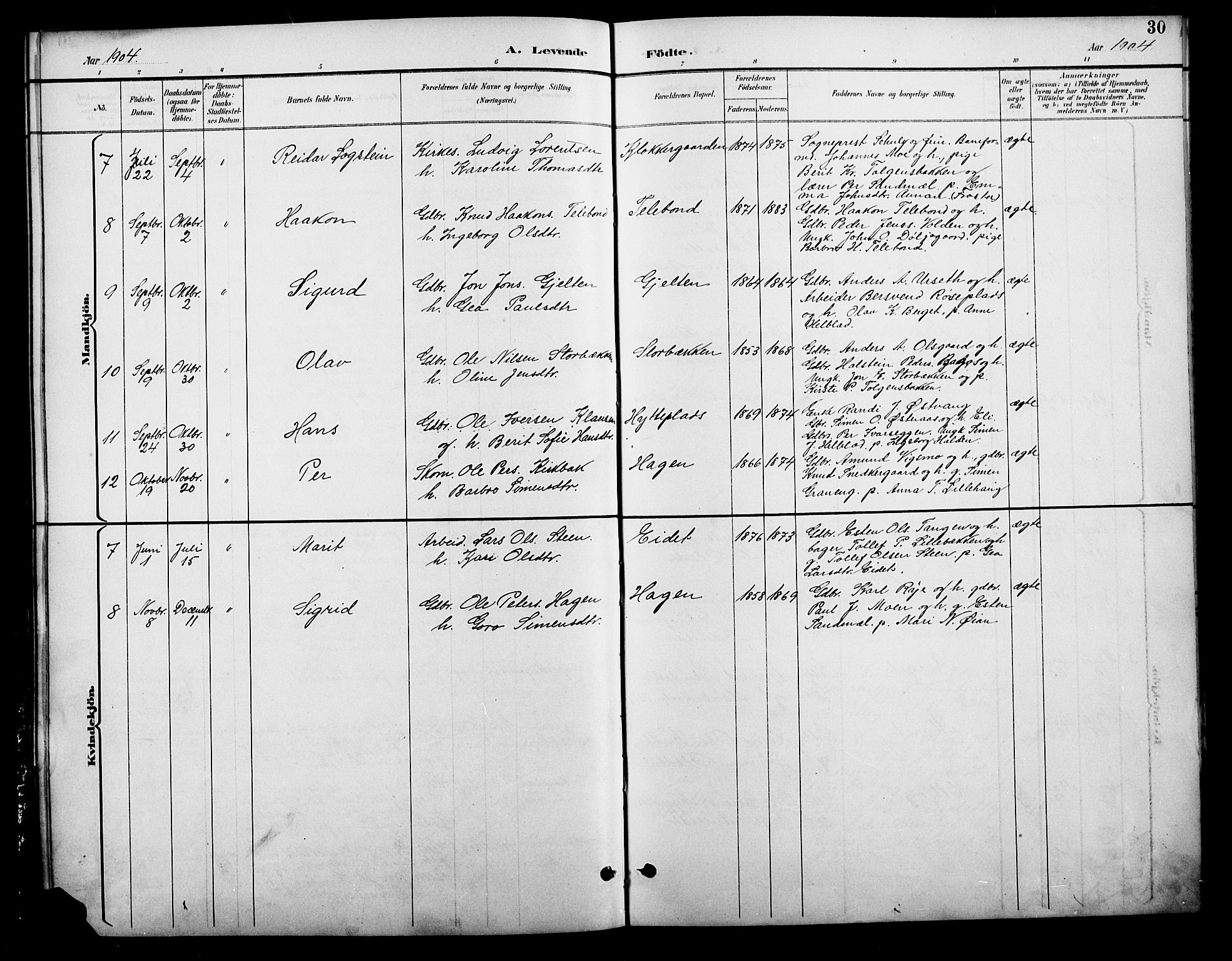 Tolga prestekontor, AV/SAH-PREST-062/L/L0009: Parish register (copy) no. 9, 1892-1919, p. 30