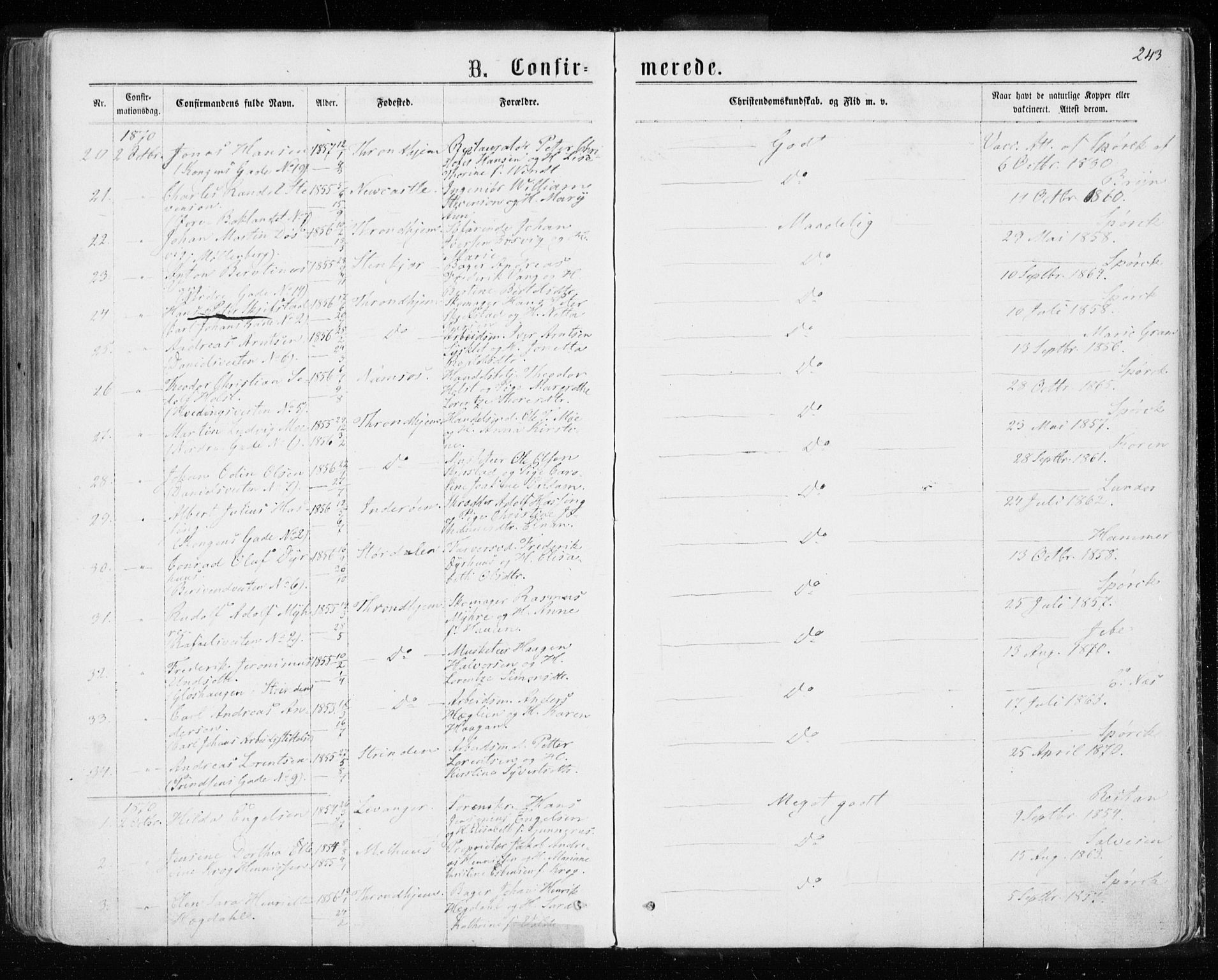 Ministerialprotokoller, klokkerbøker og fødselsregistre - Sør-Trøndelag, AV/SAT-A-1456/601/L0054: Parish register (official) no. 601A22, 1866-1877, p. 243