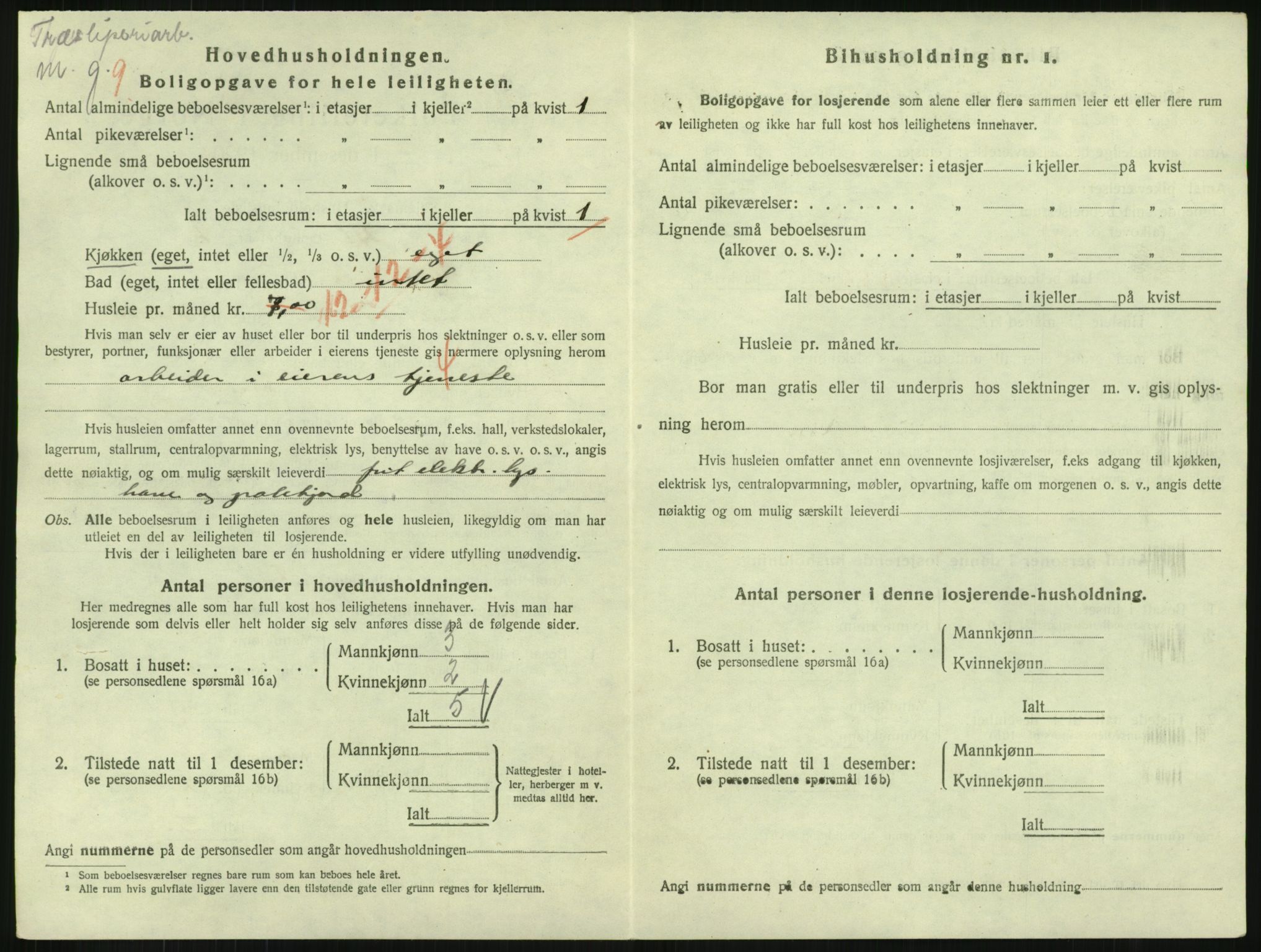 SAH, 1920 census for Gjøvik, 1920, p. 2205