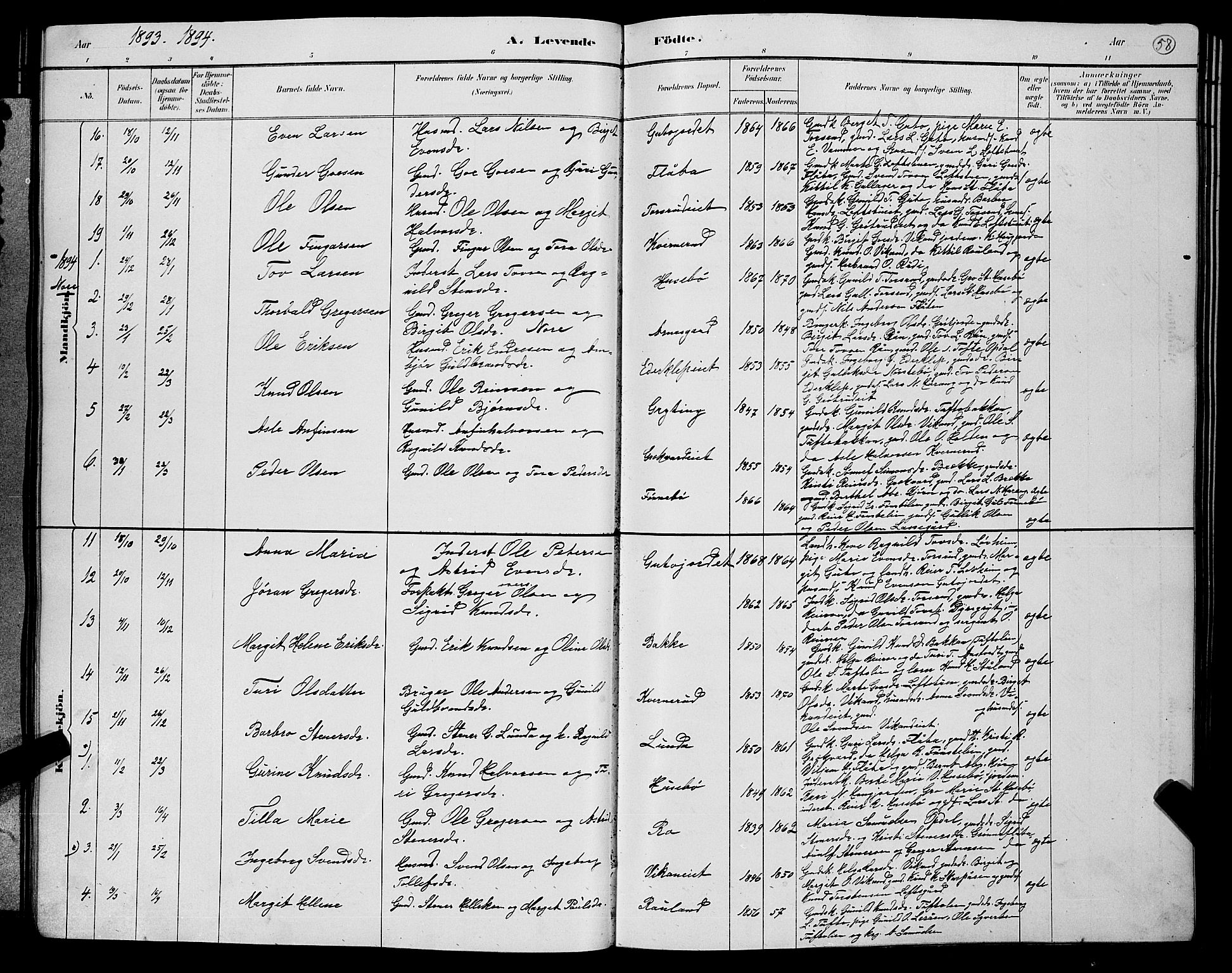 Nore kirkebøker, SAKO/A-238/G/Gb/L0002: Parish register (copy) no. II 2, 1878-1894, p. 58