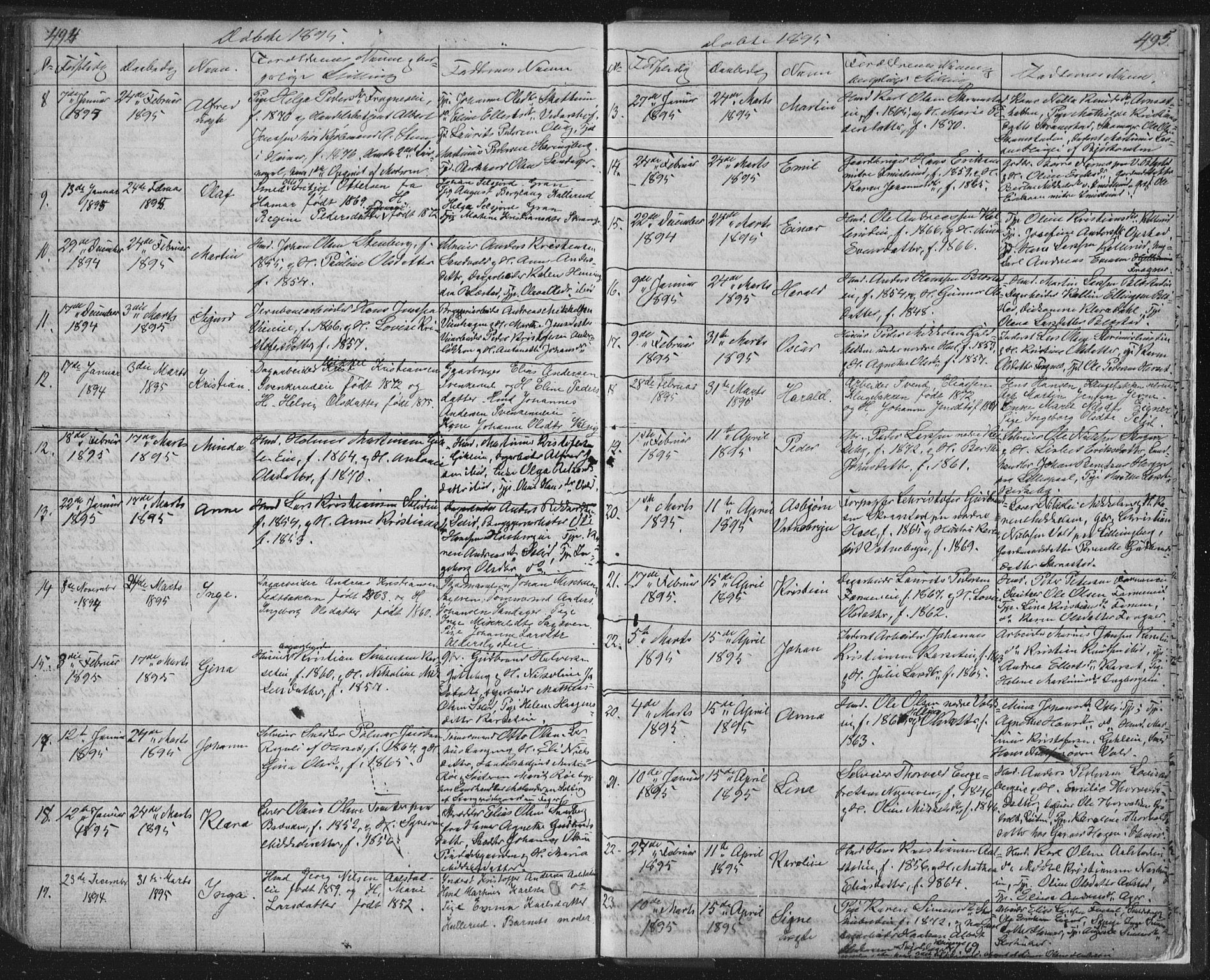 Vang prestekontor, Hedmark, AV/SAH-PREST-008/H/Ha/Hab/L0010A: Parish register (copy) no. 10a, 1854-1896, p. 494-495