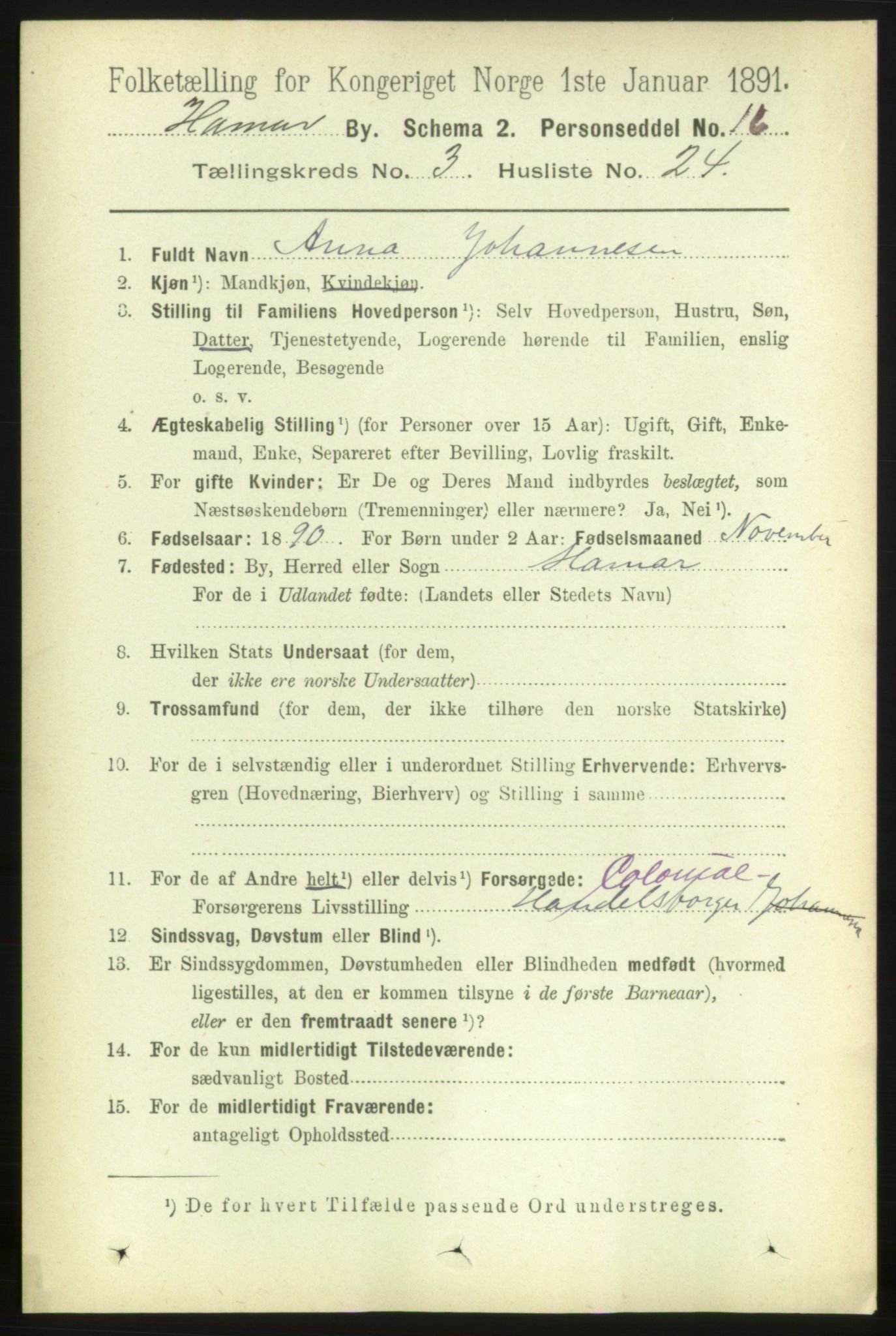 RA, 1891 census for 0401 Hamar, 1891, p. 2248