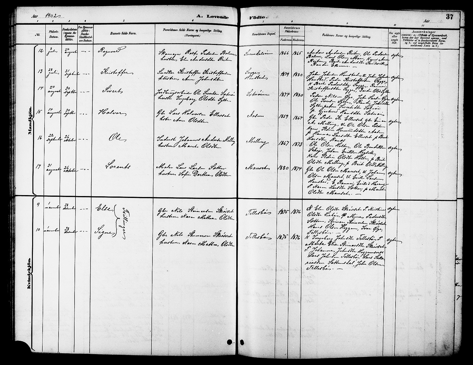 Ministerialprotokoller, klokkerbøker og fødselsregistre - Møre og Romsdal, AV/SAT-A-1454/596/L1058: Parish register (copy) no. 596C01, 1891-1907, p. 37