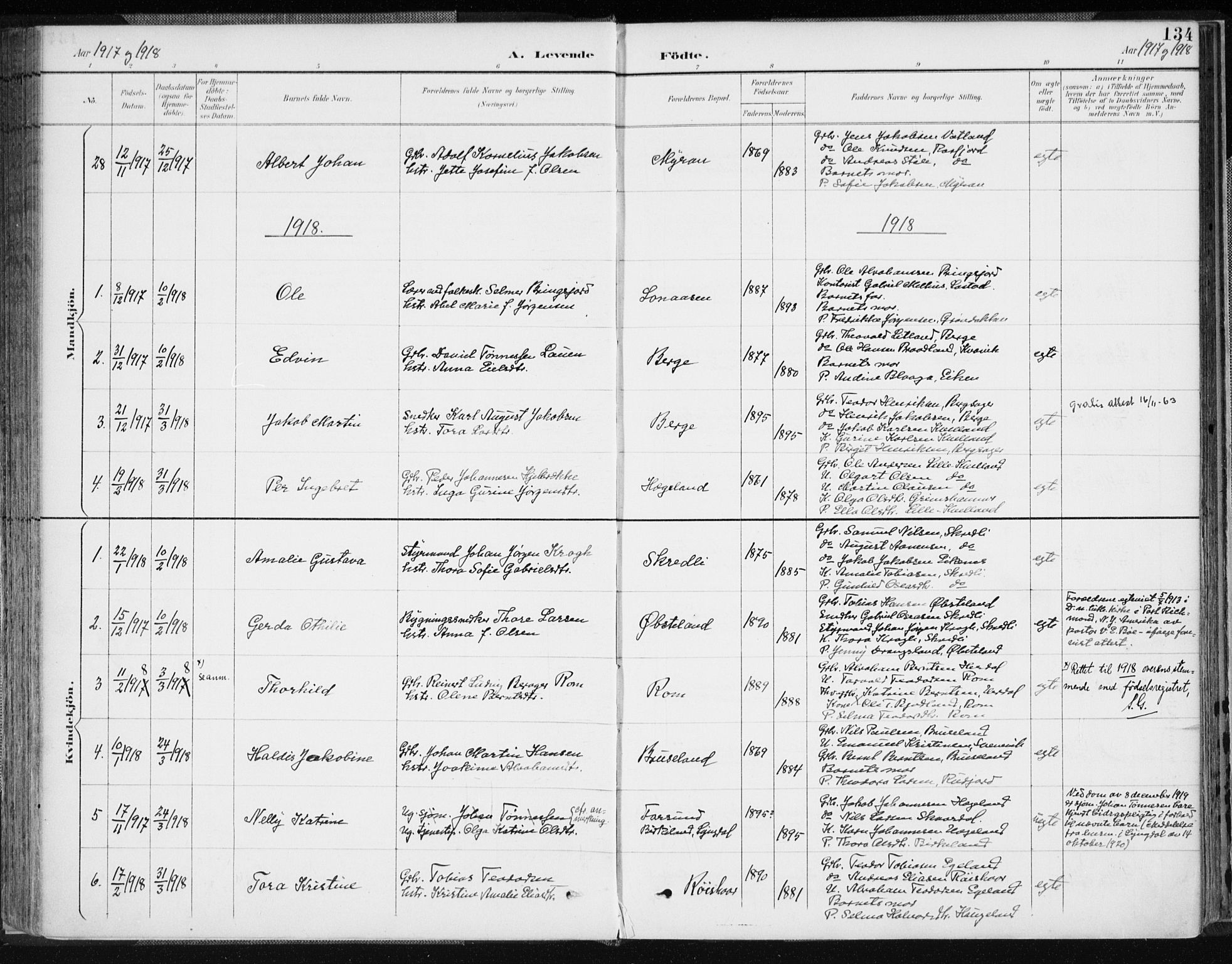 Lyngdal sokneprestkontor, AV/SAK-1111-0029/F/Fa/Fac/L0012: Parish register (official) no. A 12, 1894-1918, p. 134