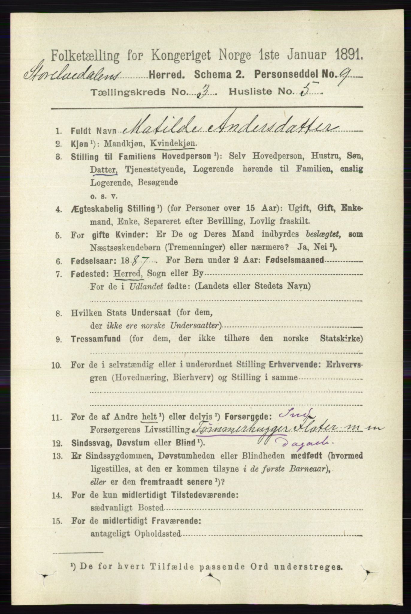 RA, 1891 census for 0430 Stor-Elvdal, 1891, p. 876