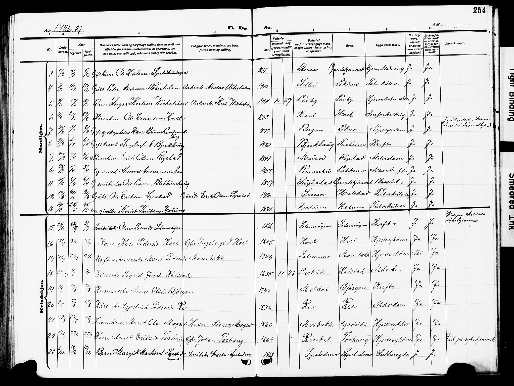 Ministerialprotokoller, klokkerbøker og fødselsregistre - Sør-Trøndelag, SAT/A-1456/672/L0865: Parish register (copy) no. 672C04, 1914-1928, p. 254