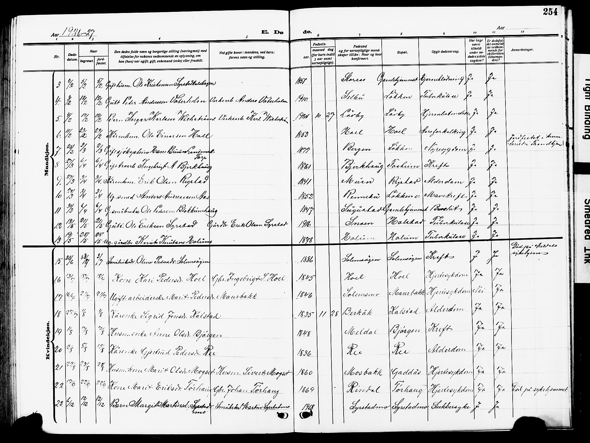 Ministerialprotokoller, klokkerbøker og fødselsregistre - Sør-Trøndelag, AV/SAT-A-1456/672/L0865: Parish register (copy) no. 672C04, 1914-1928, p. 254