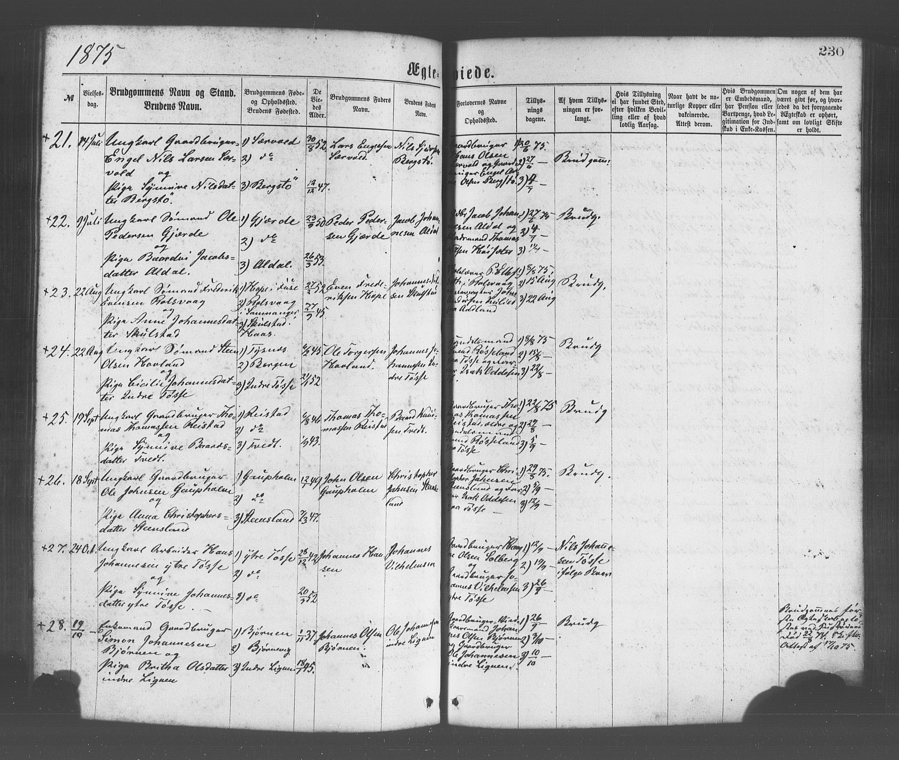 Os sokneprestembete, AV/SAB-A-99929: Parish register (official) no. A 18, 1874-1884, p. 230